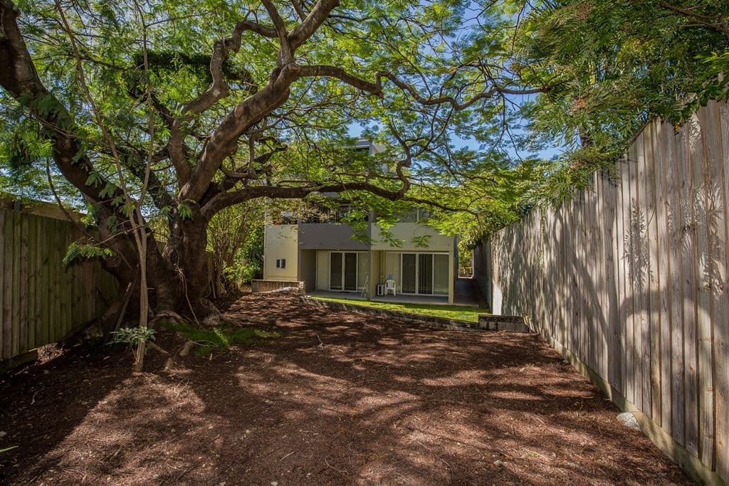 25 Park Road, Yeronga QLD 4104, Yeronga - Thumbnail 3