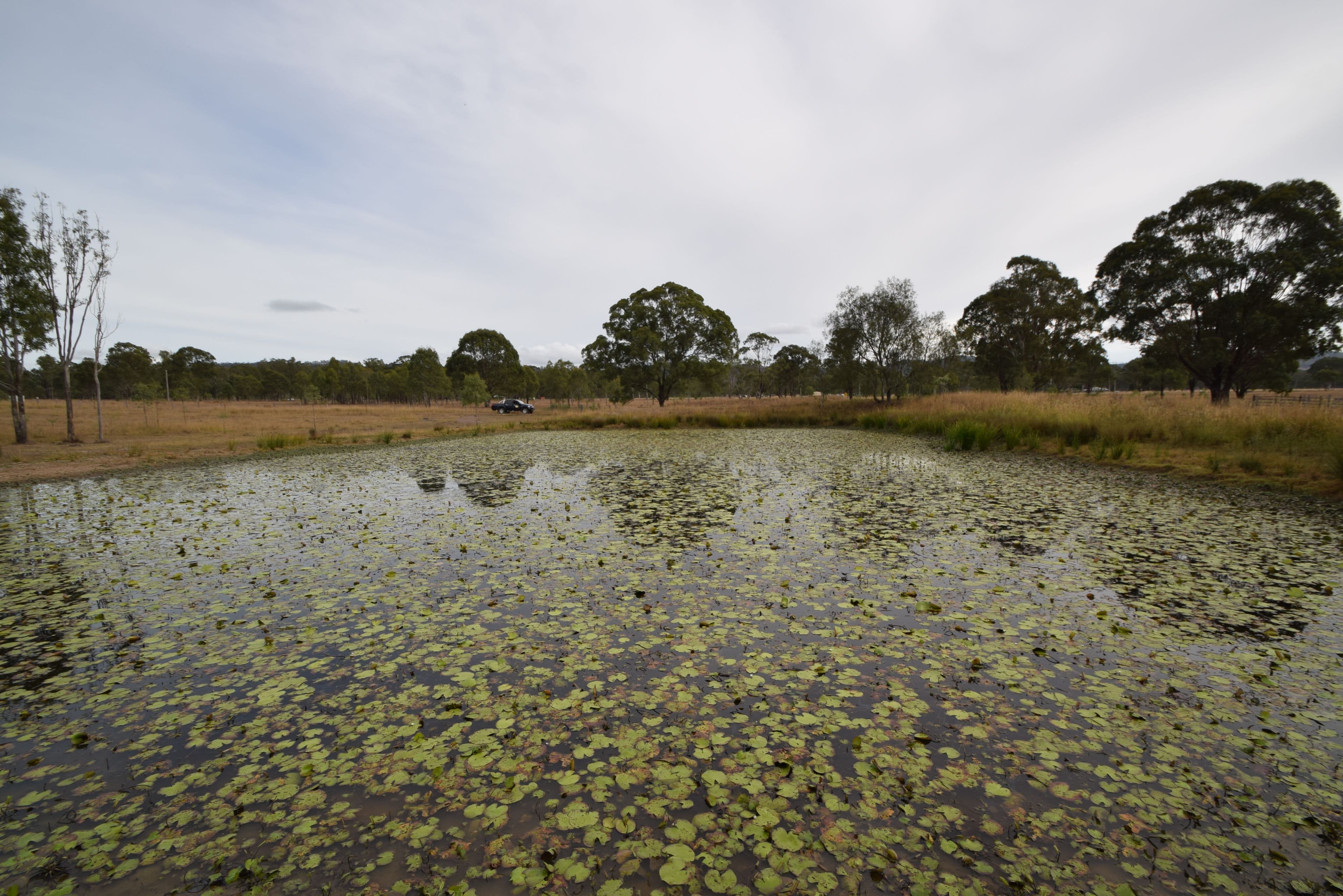 165 Baisdens Lane, Toogoolawah QLD 4313, Toogoolawah - Image 1