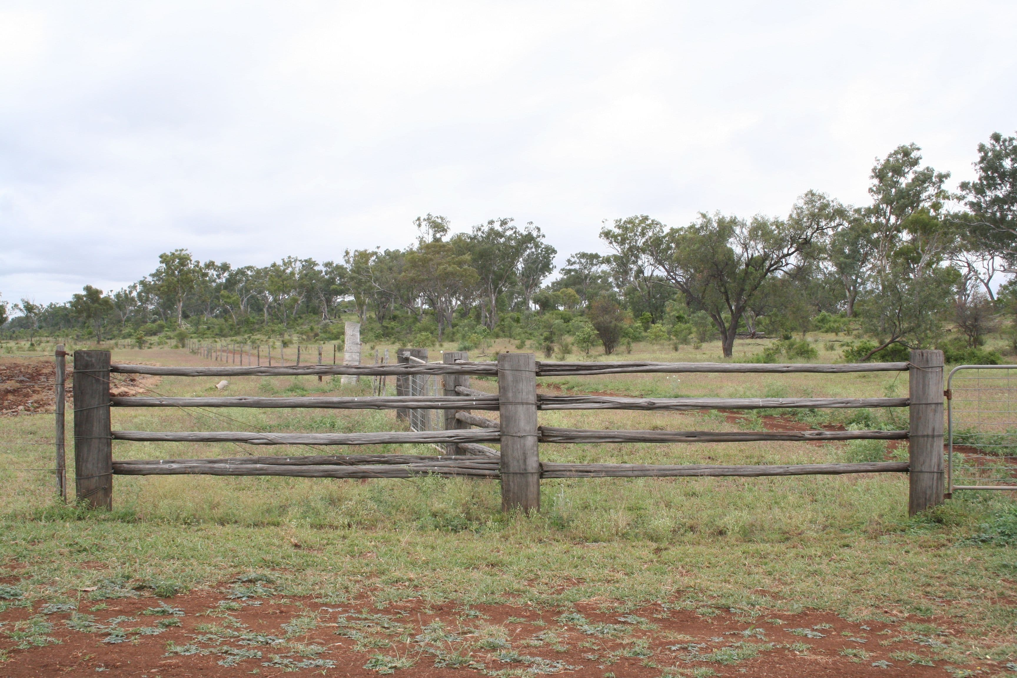. Kinsale, Clermont QLD 4721, Clermont - Thumbnail 7