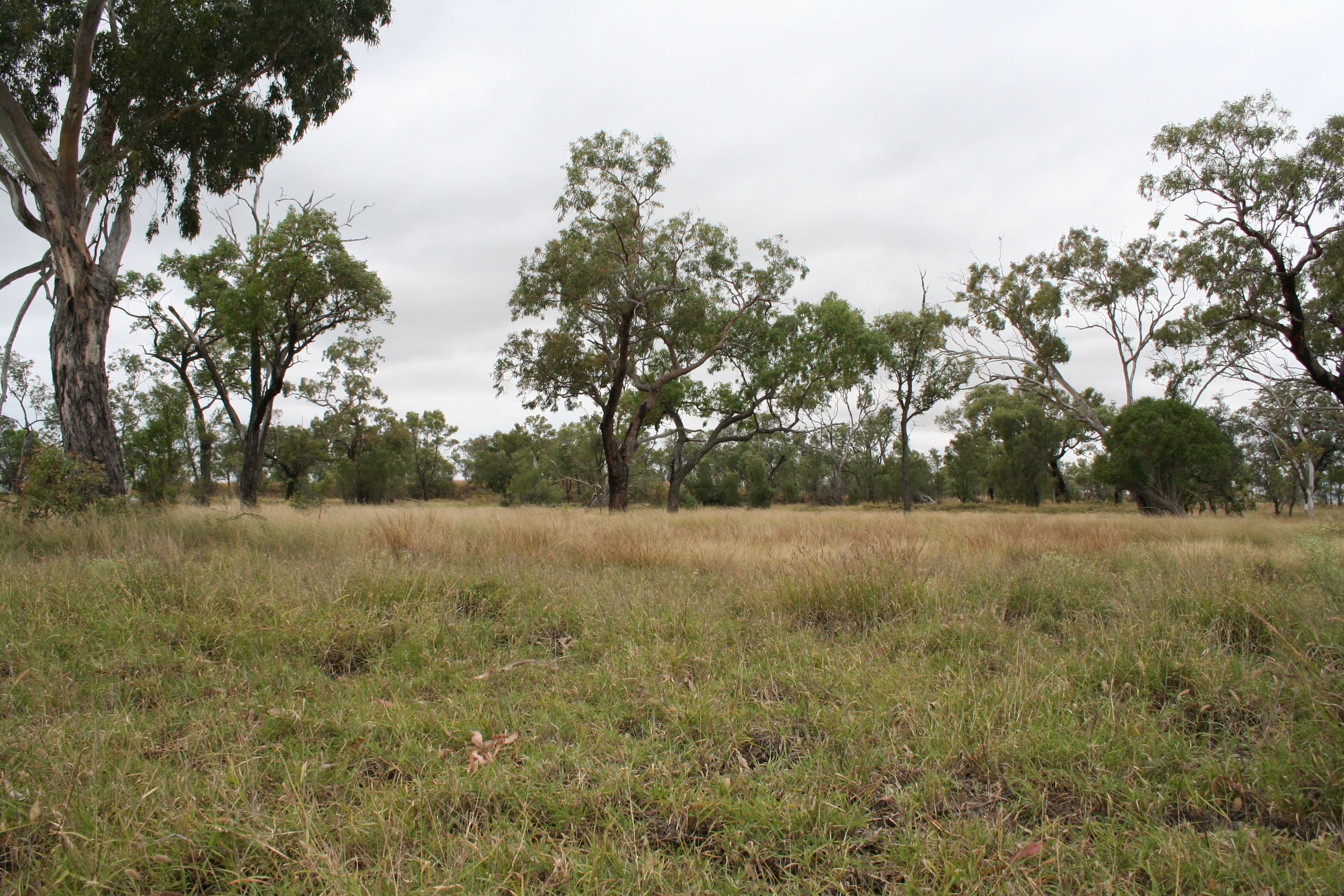 . Kinsale, Clermont QLD 4721, Clermont - Thumbnail 6