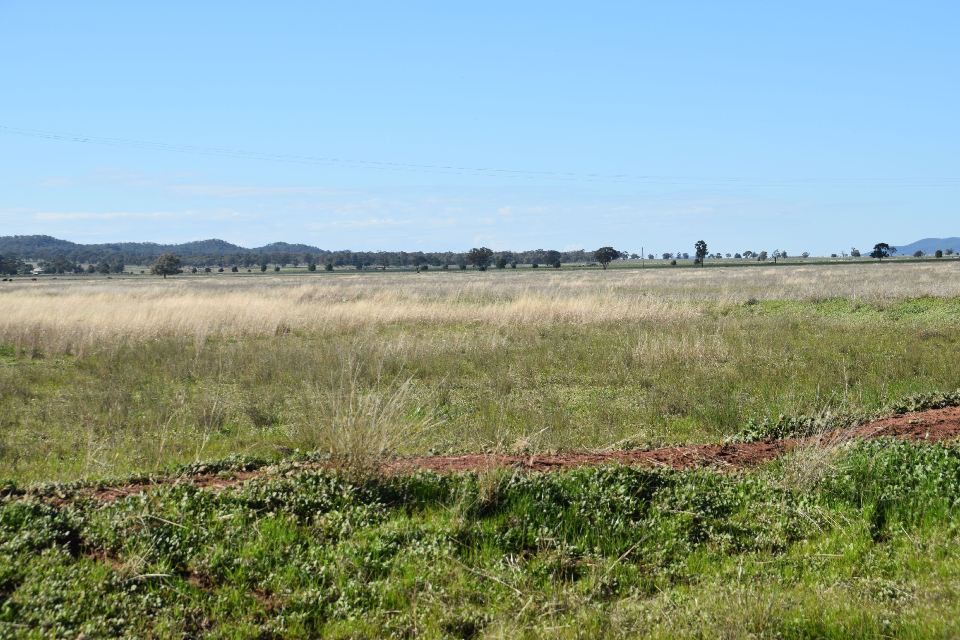 'Uri' 2741 Tomingley Road, Tomingley NSW 2869, Tomingley - Thumbnail 8