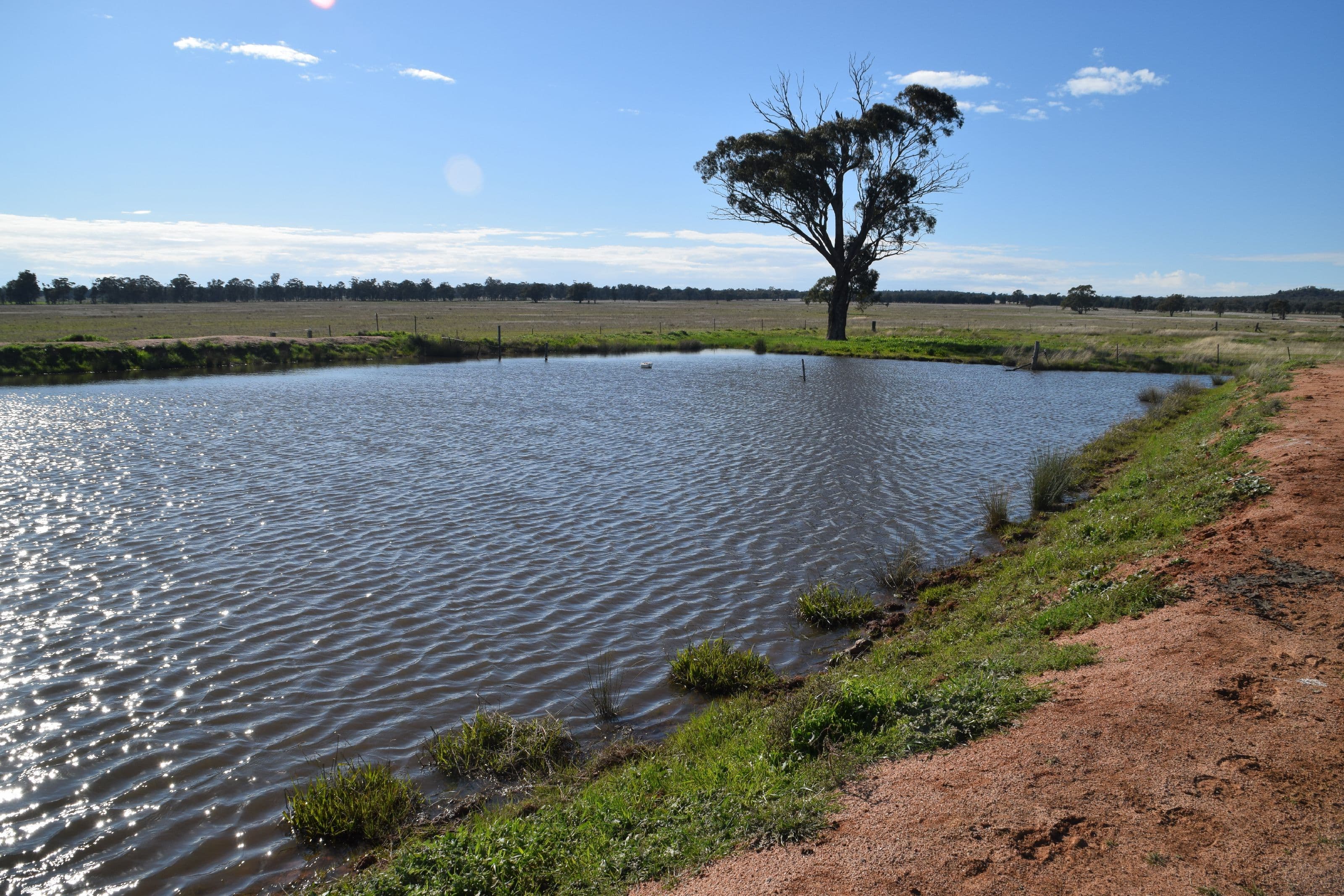 'Uri' 2741 Tomingley Road, Tomingley NSW 2869, Tomingley - Thumbnail 7