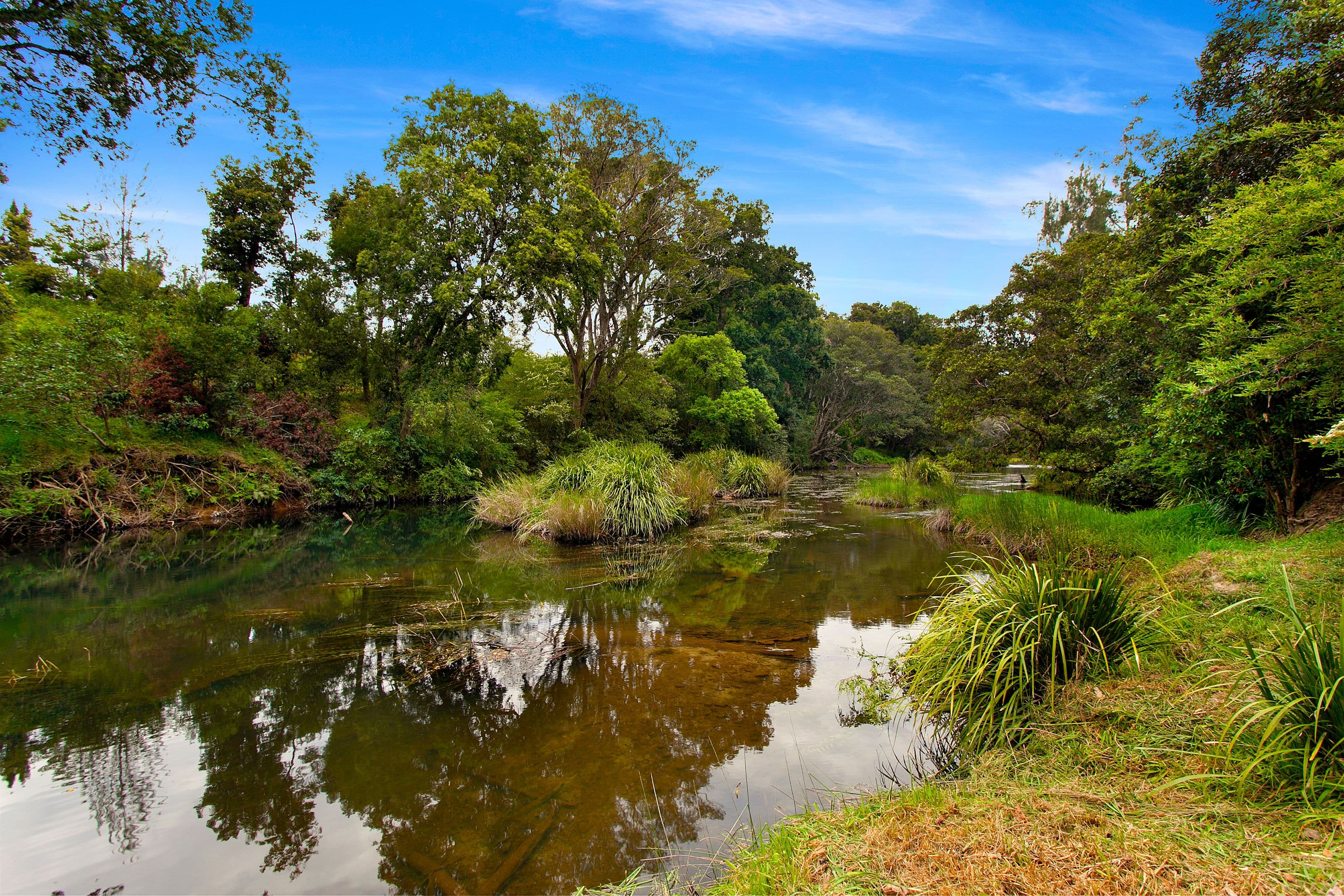 1012 Orara Way, Nana Glen NSW 2450, Nana Glen - Thumbnail 2