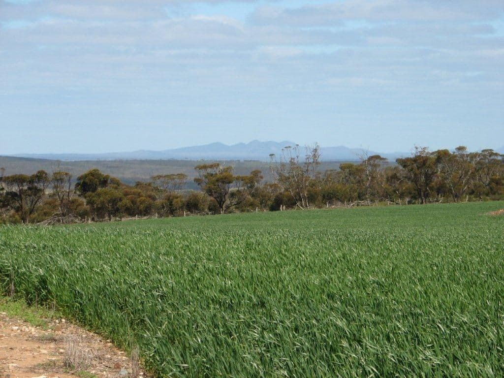 Ravensthorpe WA 6346, Ravensthorpe - Image 1
