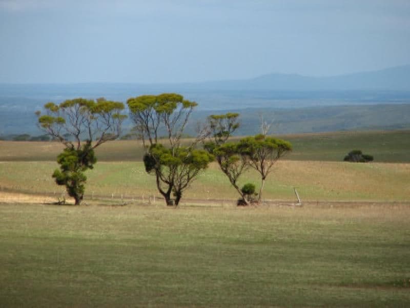 Ravensthorpe WA 6346, Ravensthorpe - Thumbnail 6