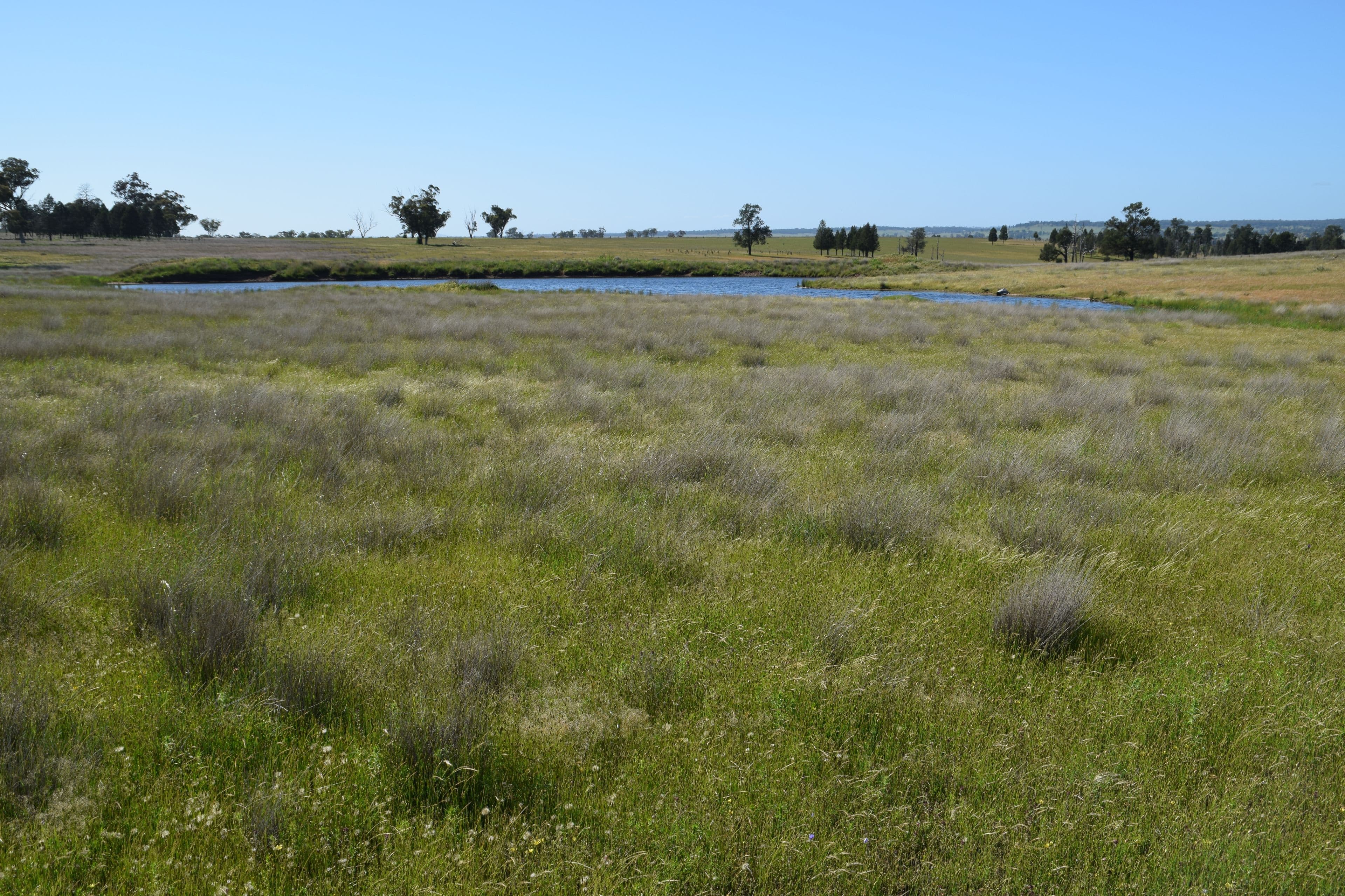 'Marrington East' Mendooran Road, Dubbo NSW 2830, Dubbo - Thumbnail 2
