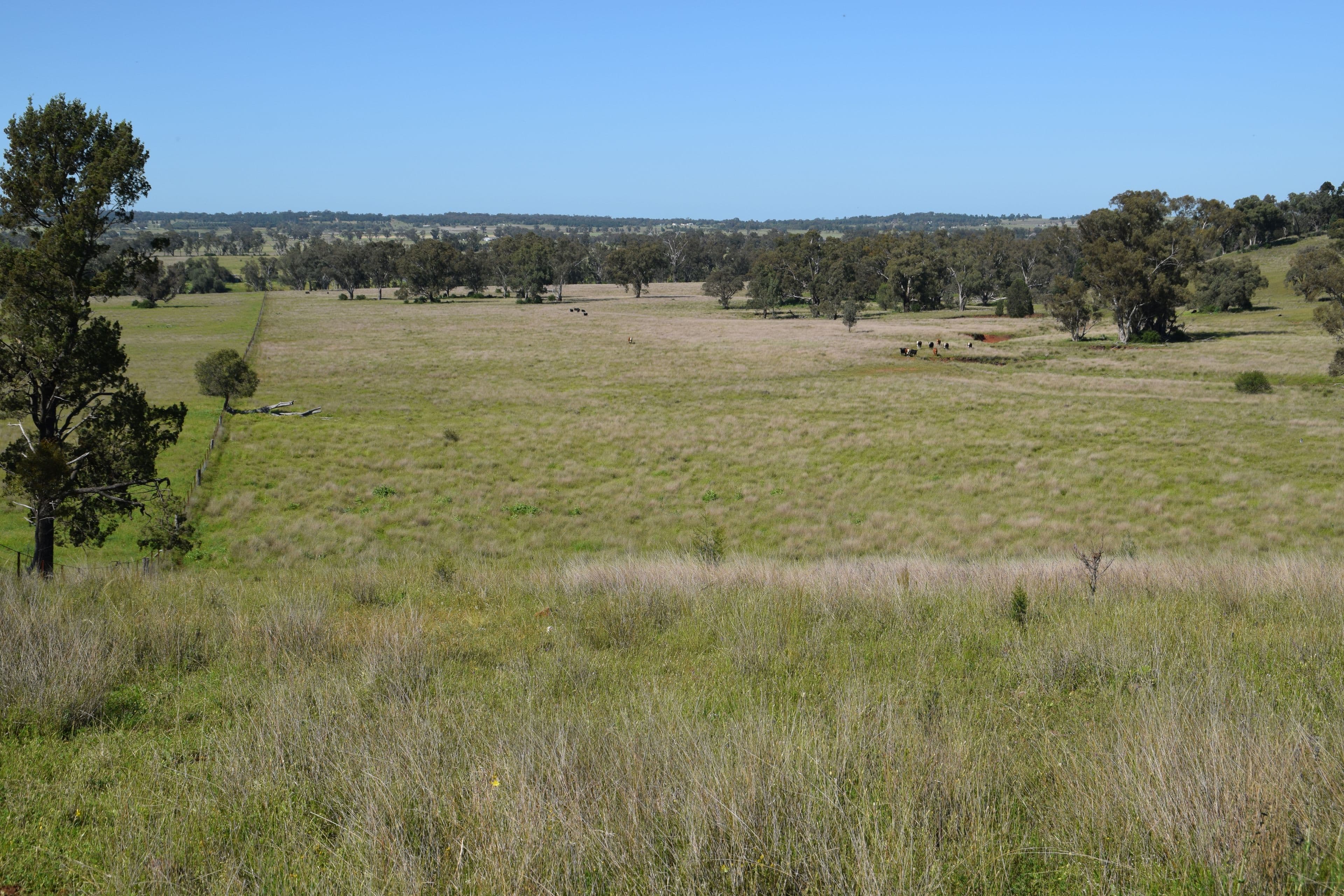 'Marrington East' Mendooran Road, Dubbo NSW 2830, Dubbo - Thumbnail 4