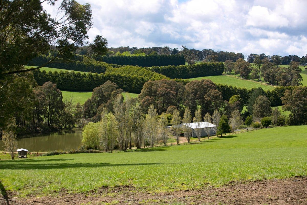Kinglake Central VIC 3757, Kinglake Central - Thumbnail 4