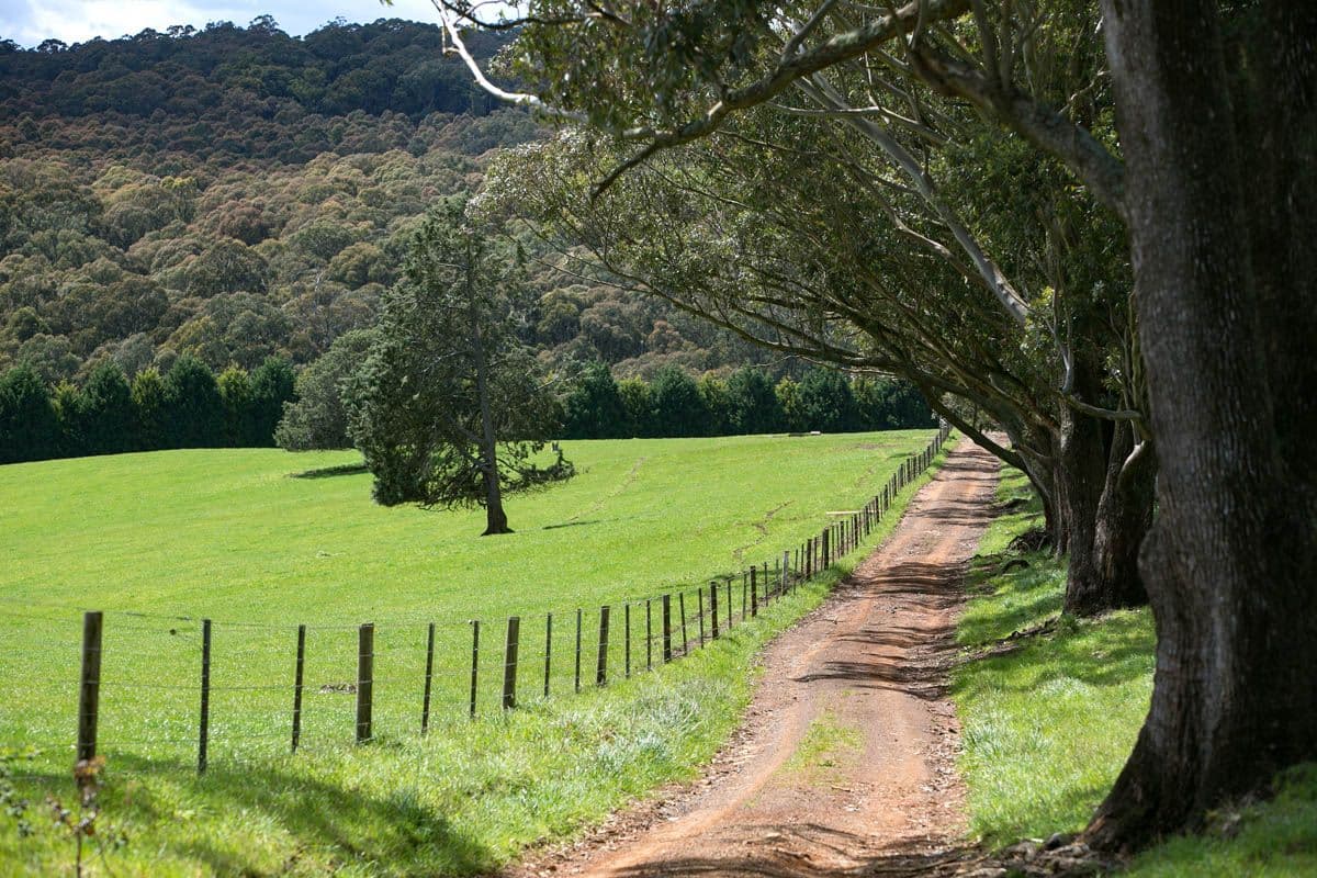 Kinglake Central VIC 3757, Kinglake Central - Thumbnail 6