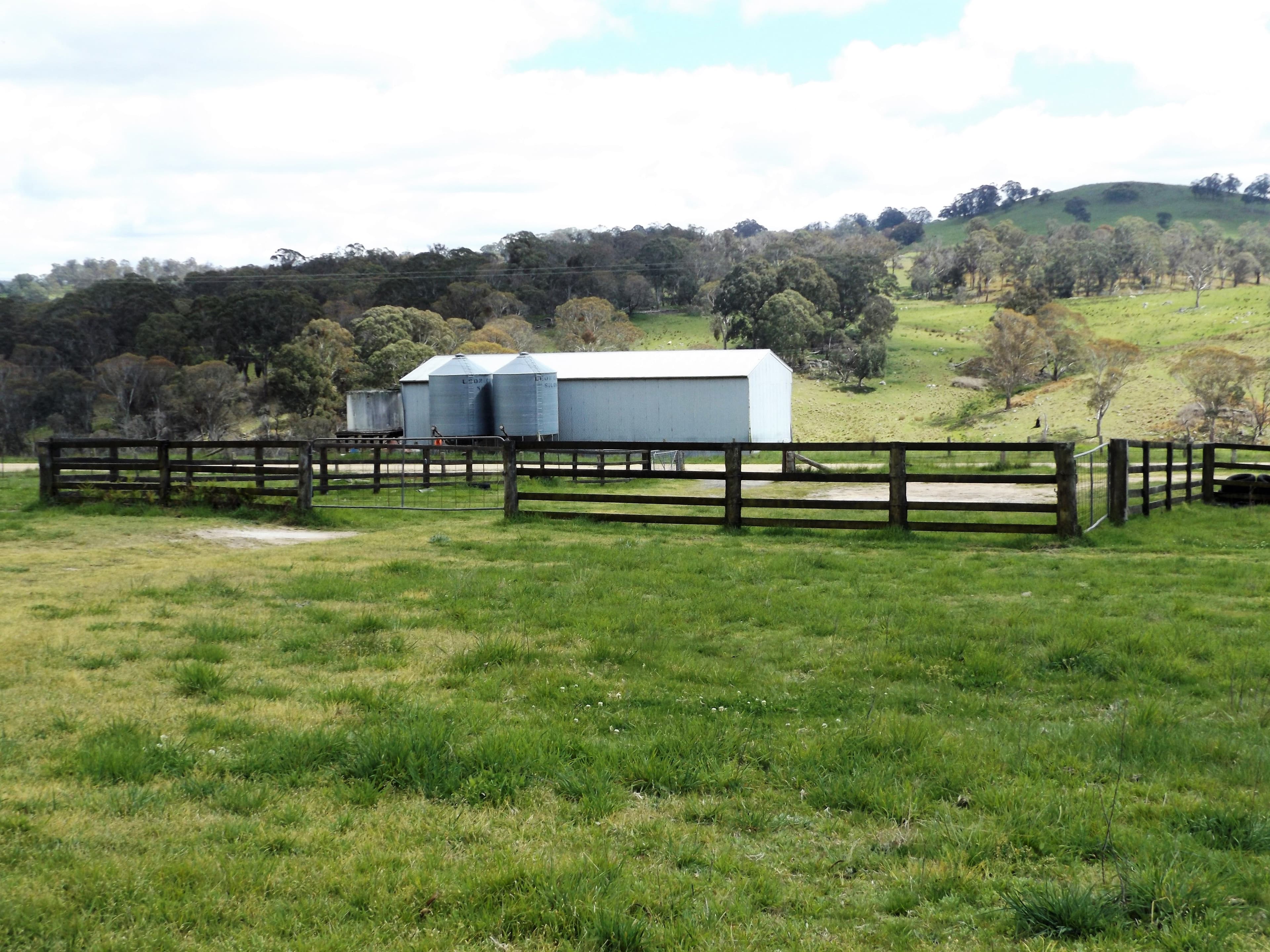 2110 Shannon Vale Road, Glen Innes NSW 2370, Glen Innes - Thumbnail 7