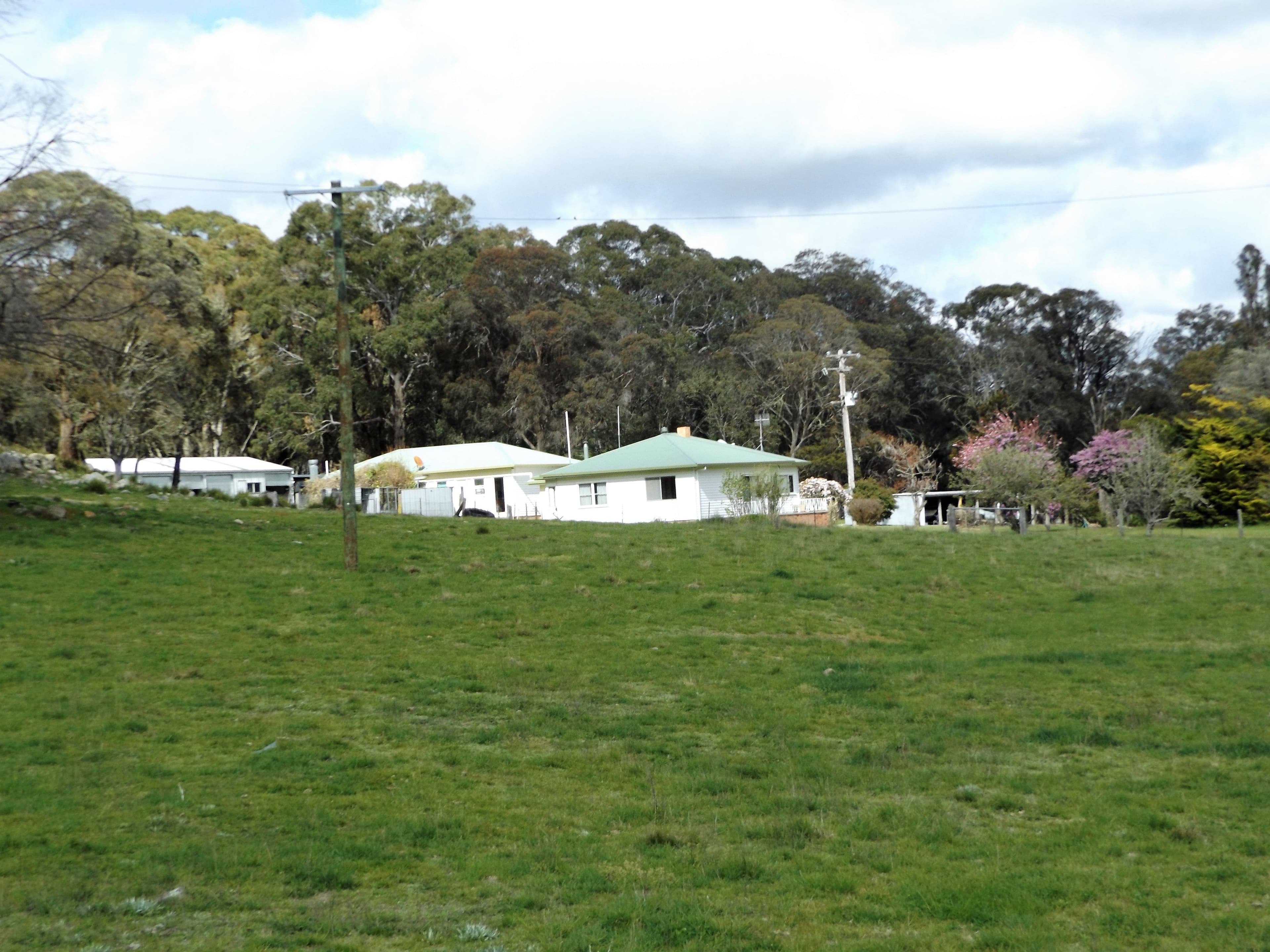 2110 Shannon Vale Road, Glen Innes NSW 2370, Glen Innes - Thumbnail 8