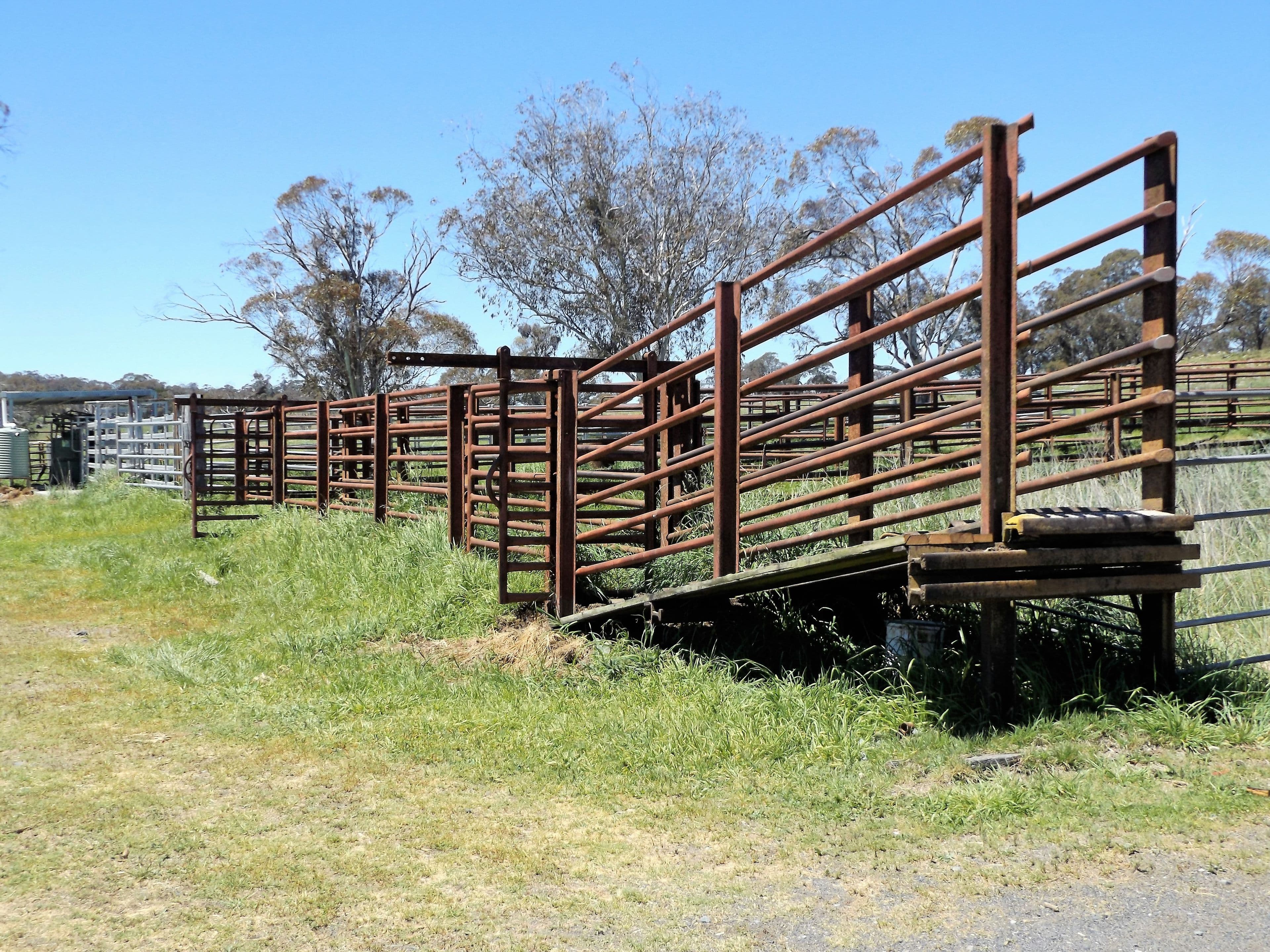 2110 Shannon Vale Road, Glen Innes NSW 2370, Glen Innes - Thumbnail 3