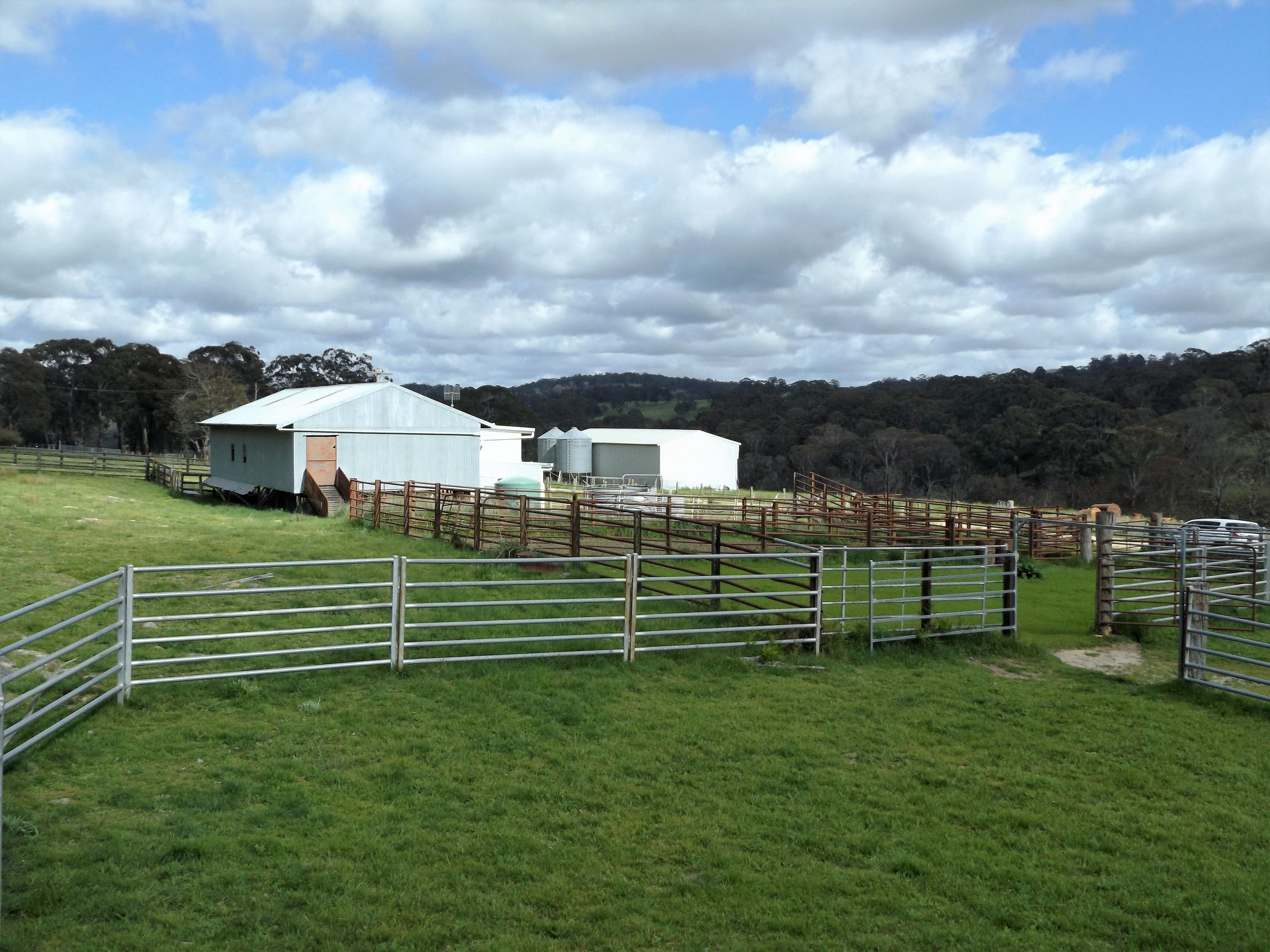 2110 Shannon Vale Road, Glen Innes NSW 2370, Glen Innes - Thumbnail 5