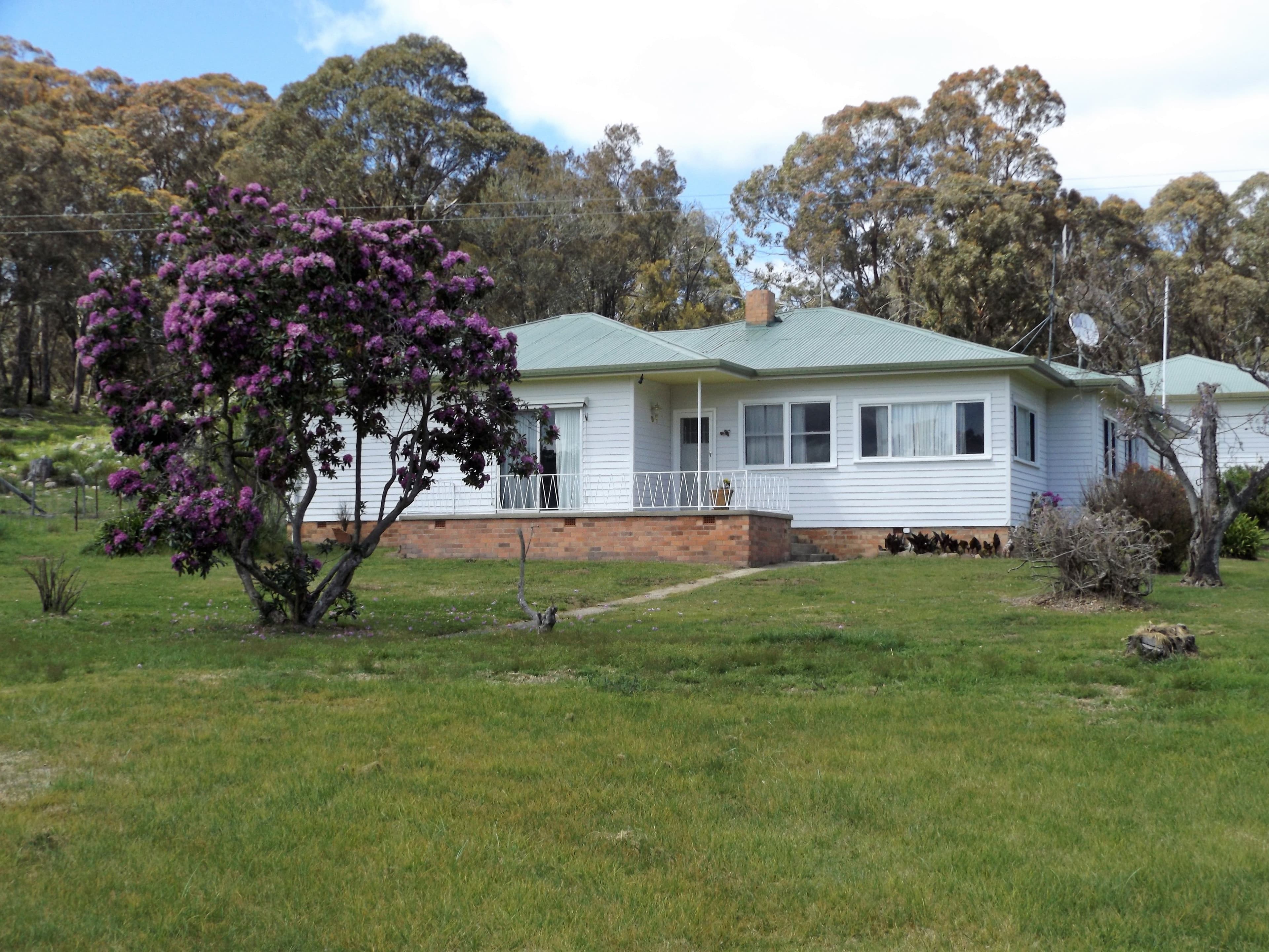 2110 Shannon Vale Road, Glen Innes NSW 2370, Glen Innes - Image 1