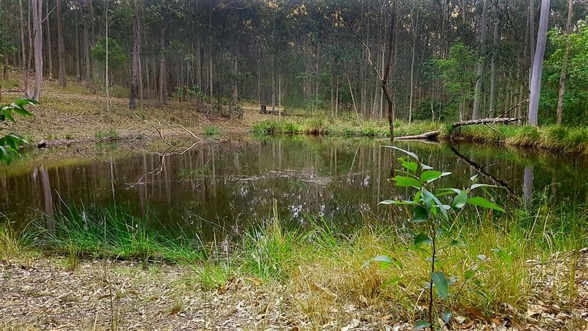 225 Browns Road, Mandalong NSW 2264, Mandalong - Thumbnail 7