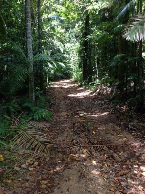 14 Boulder Road, Finch Hatton QLD 4756, Finch Hatton - Thumbnail 4