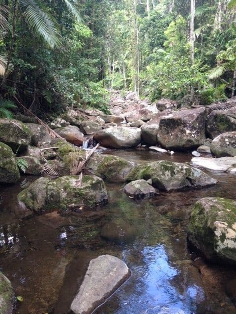 14 Boulder Road, Finch Hatton QLD 4756, Finch Hatton - Thumbnail 5