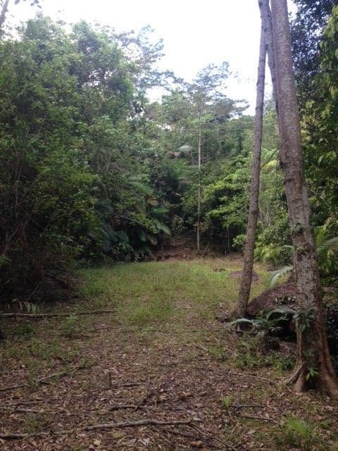 14 Boulder Road, Finch Hatton QLD 4756, Finch Hatton - Thumbnail 3