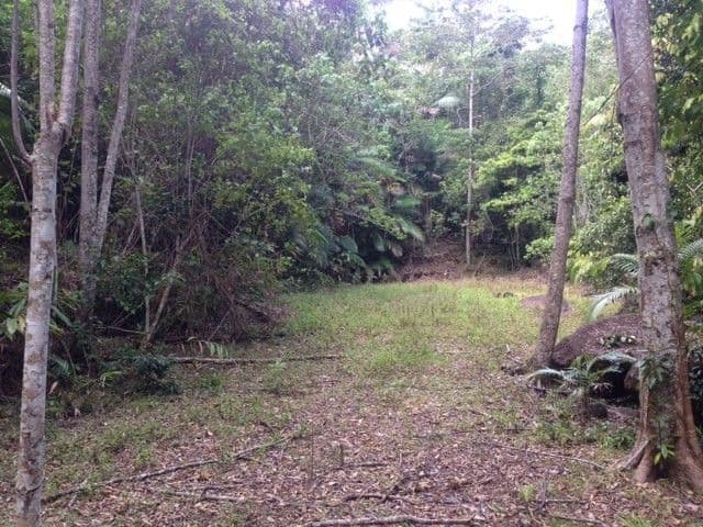 14 Boulder Road, Finch Hatton QLD 4756, Finch Hatton - Thumbnail 2