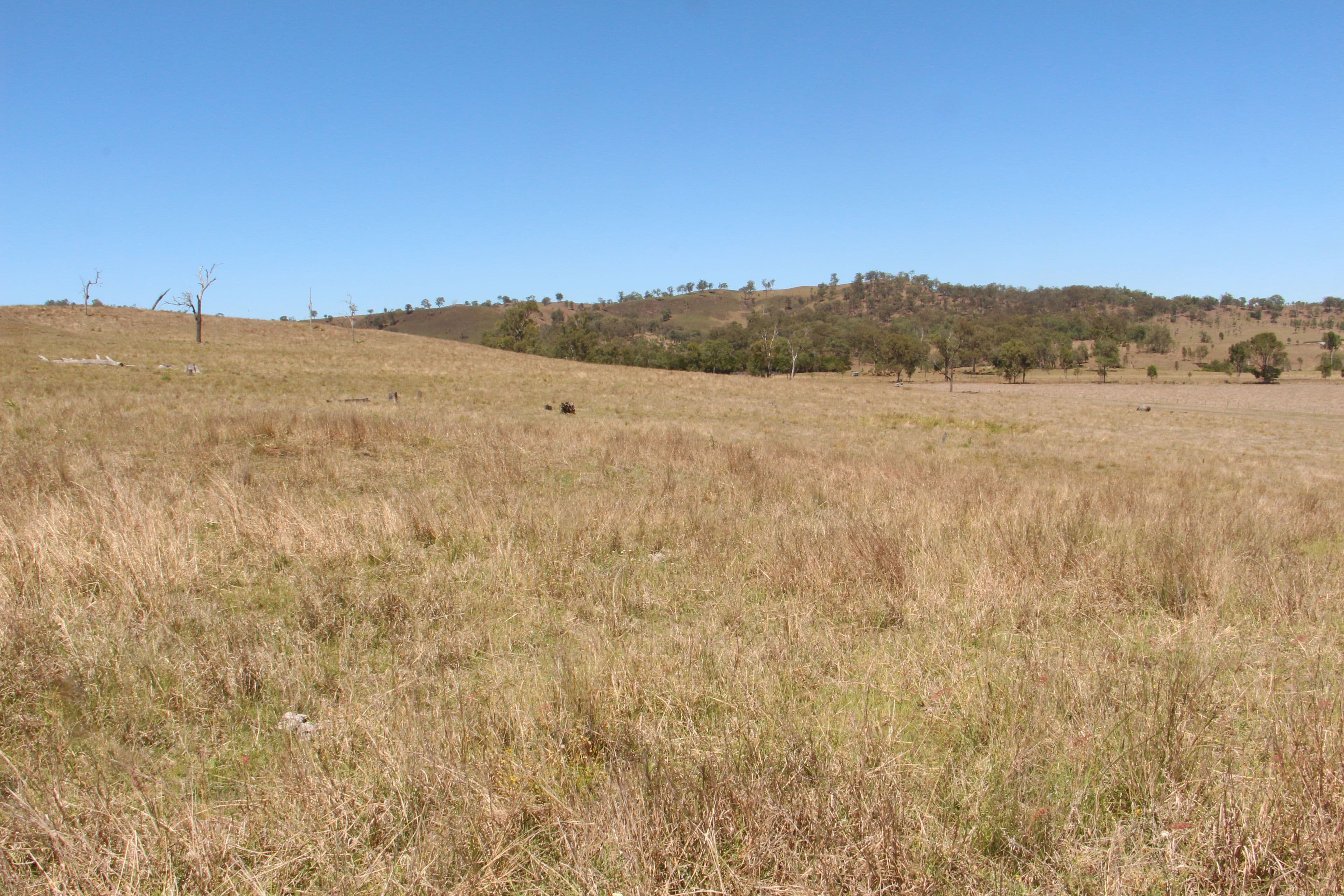 Beaudesert QLD 4285, Beaudesert - Thumbnail 8