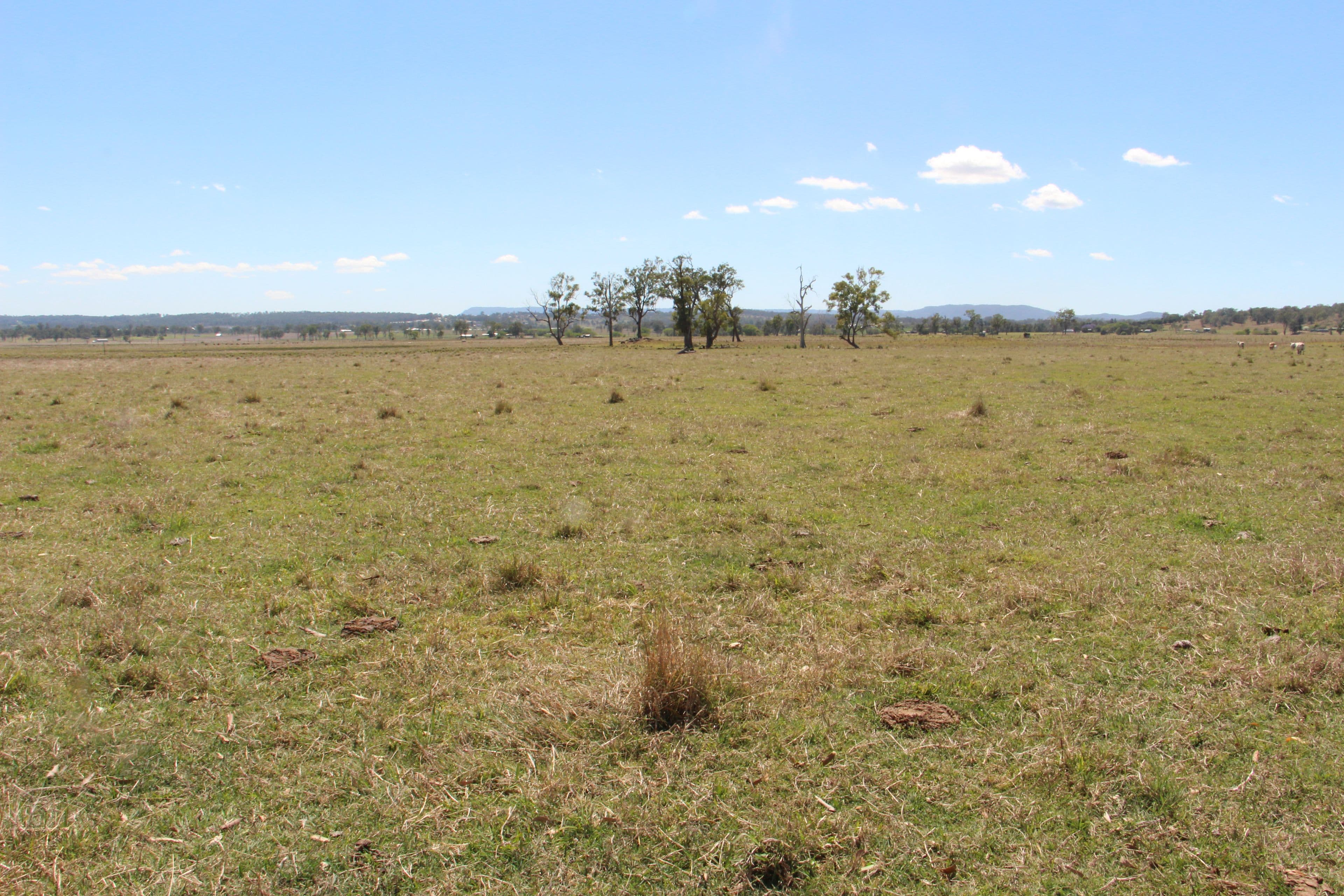 Beaudesert QLD 4285, Beaudesert - Thumbnail 5