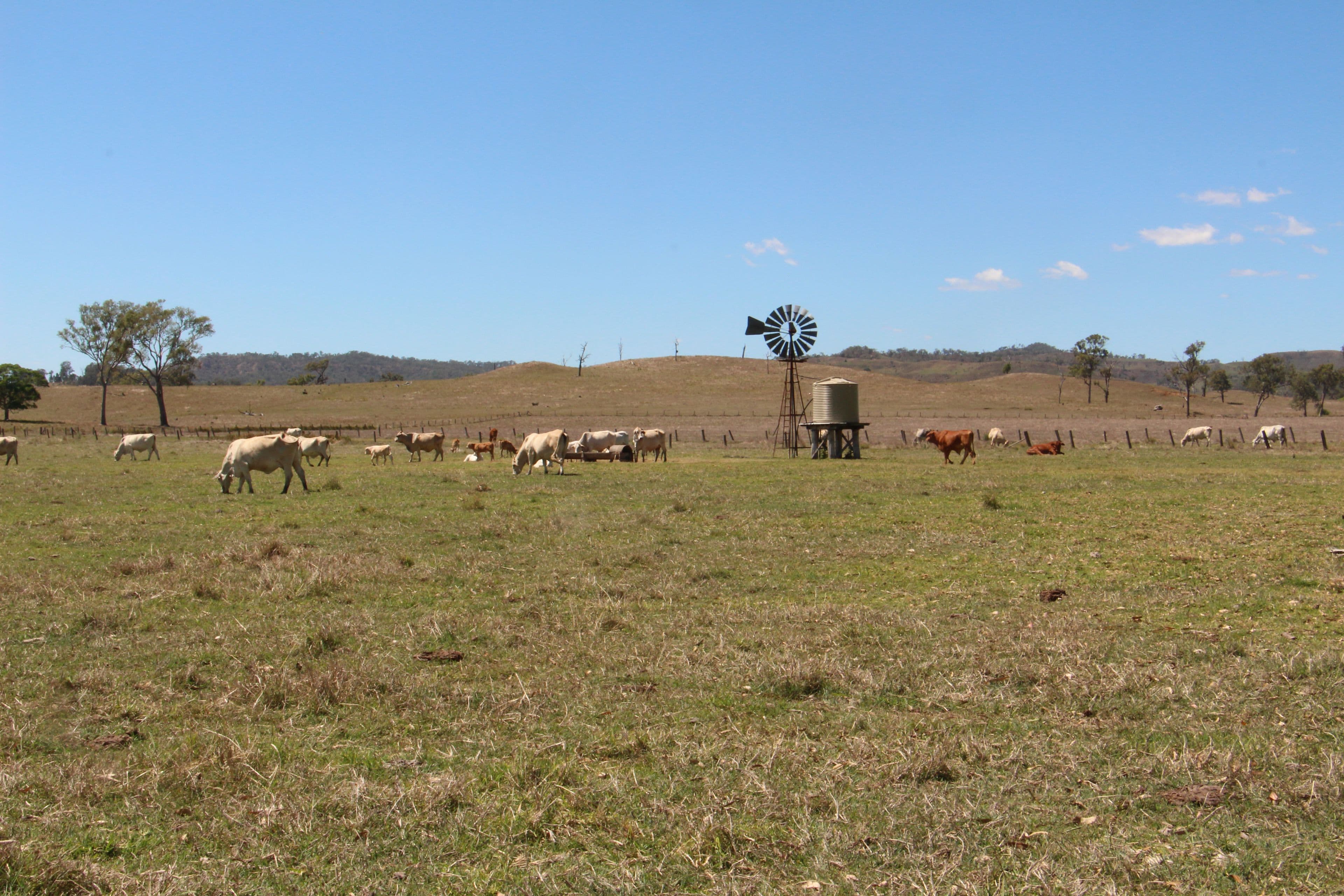 Beaudesert QLD 4285, Beaudesert - Thumbnail 4