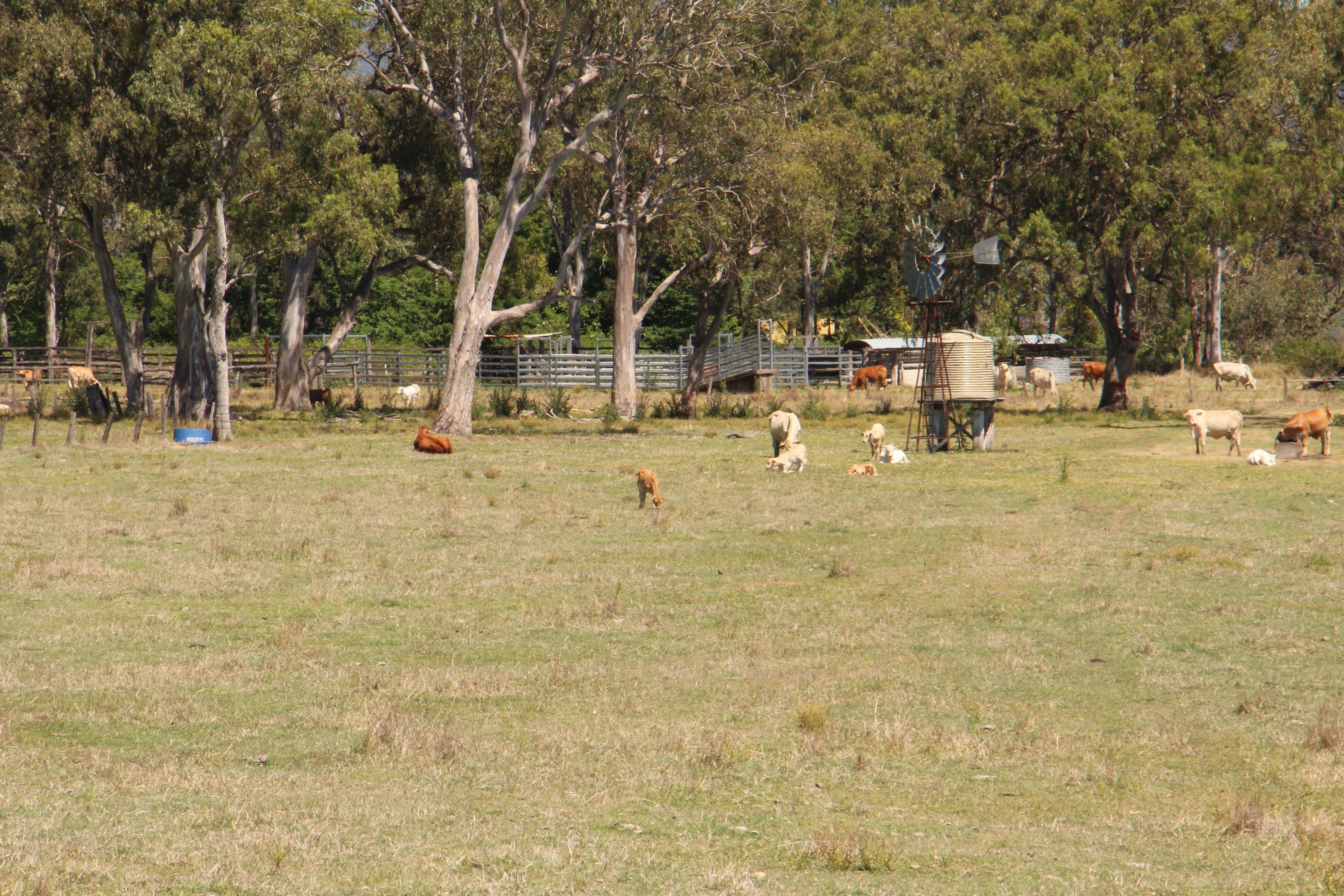 Beaudesert QLD 4285, Beaudesert - Image 1