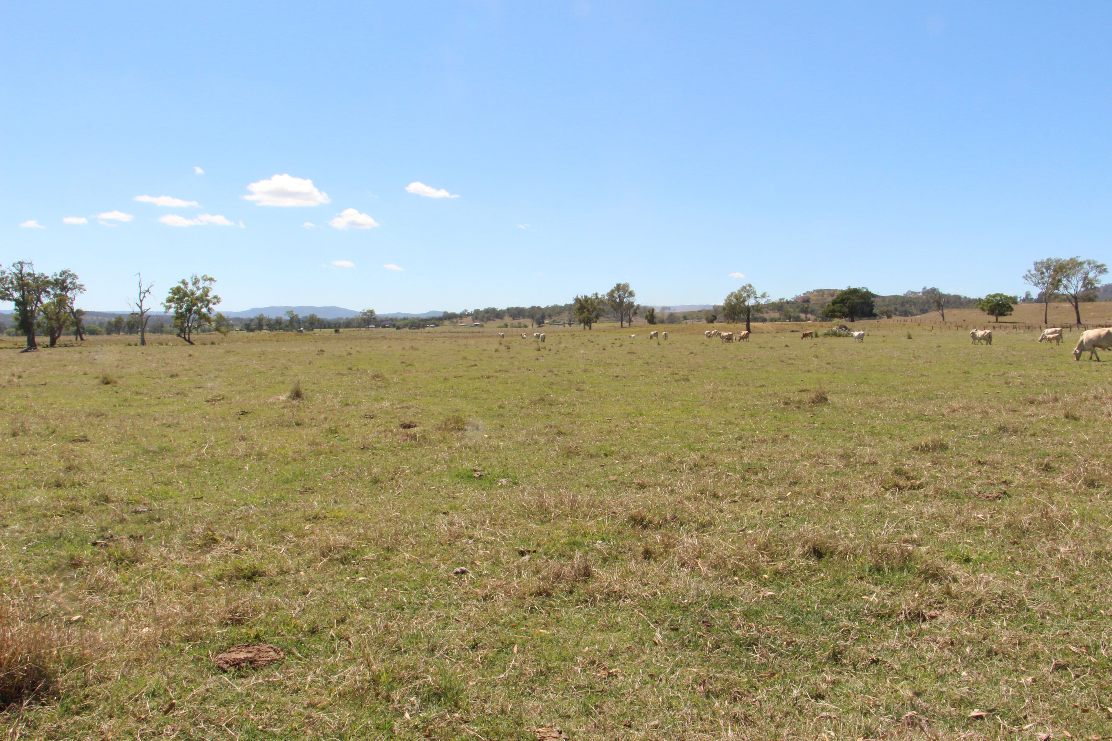 Beaudesert QLD 4285, Beaudesert - Thumbnail 2