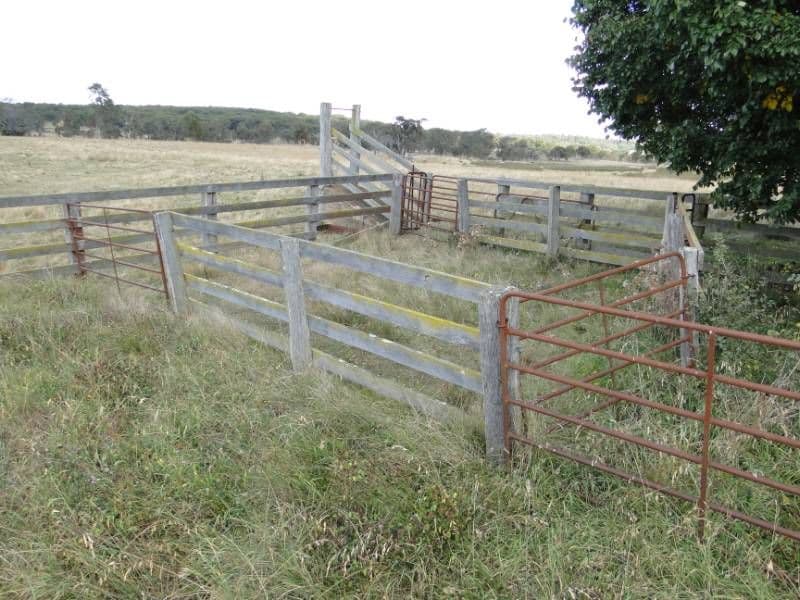 Nariel 754 Junction Road, Guyra NSW 2365, Guyra - Thumbnail 7