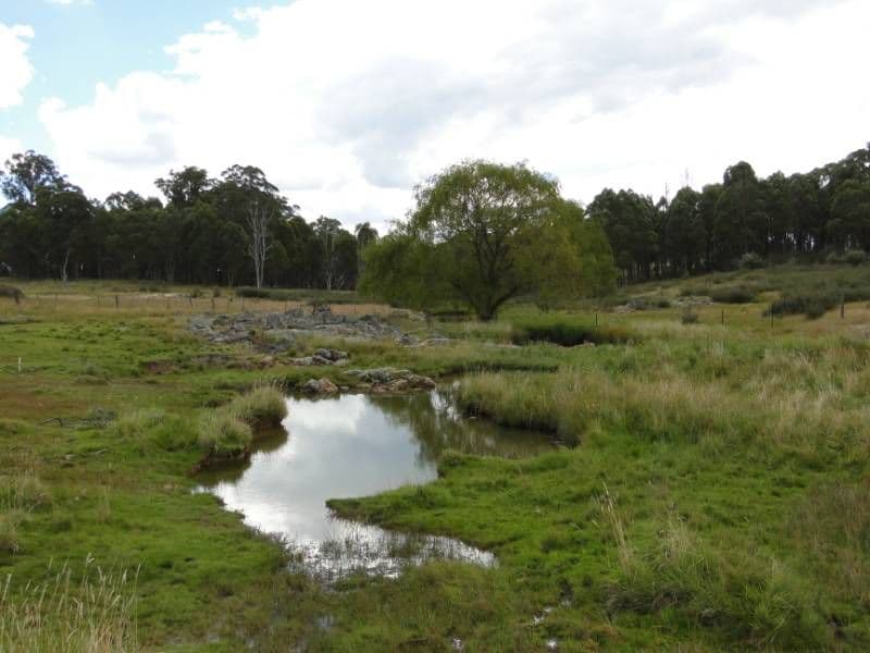 Nariel 754 Junction Road, Guyra NSW 2365, Guyra - Thumbnail 2