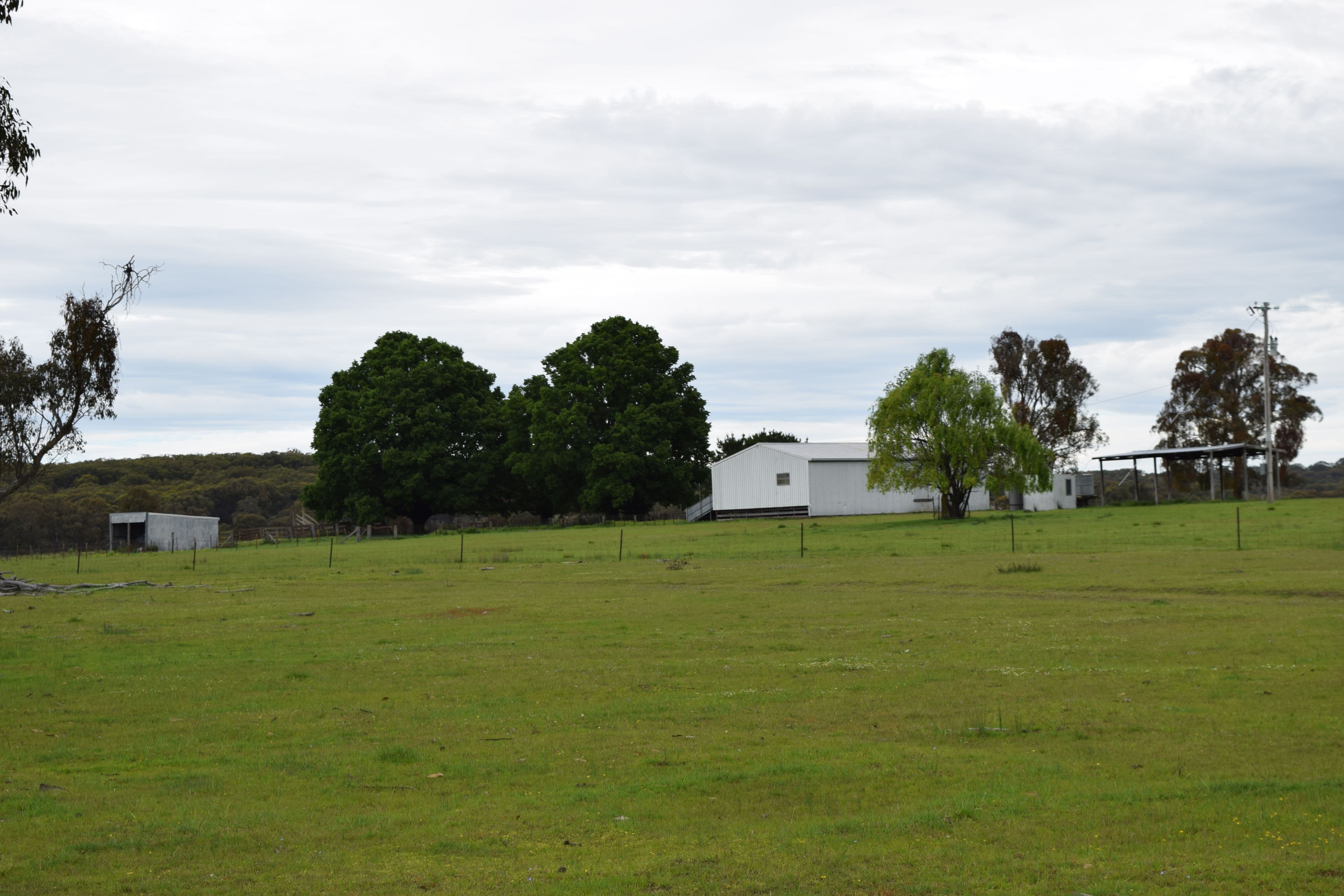 Nariel 754 Junction Road, Guyra NSW 2365, Guyra - Image 1