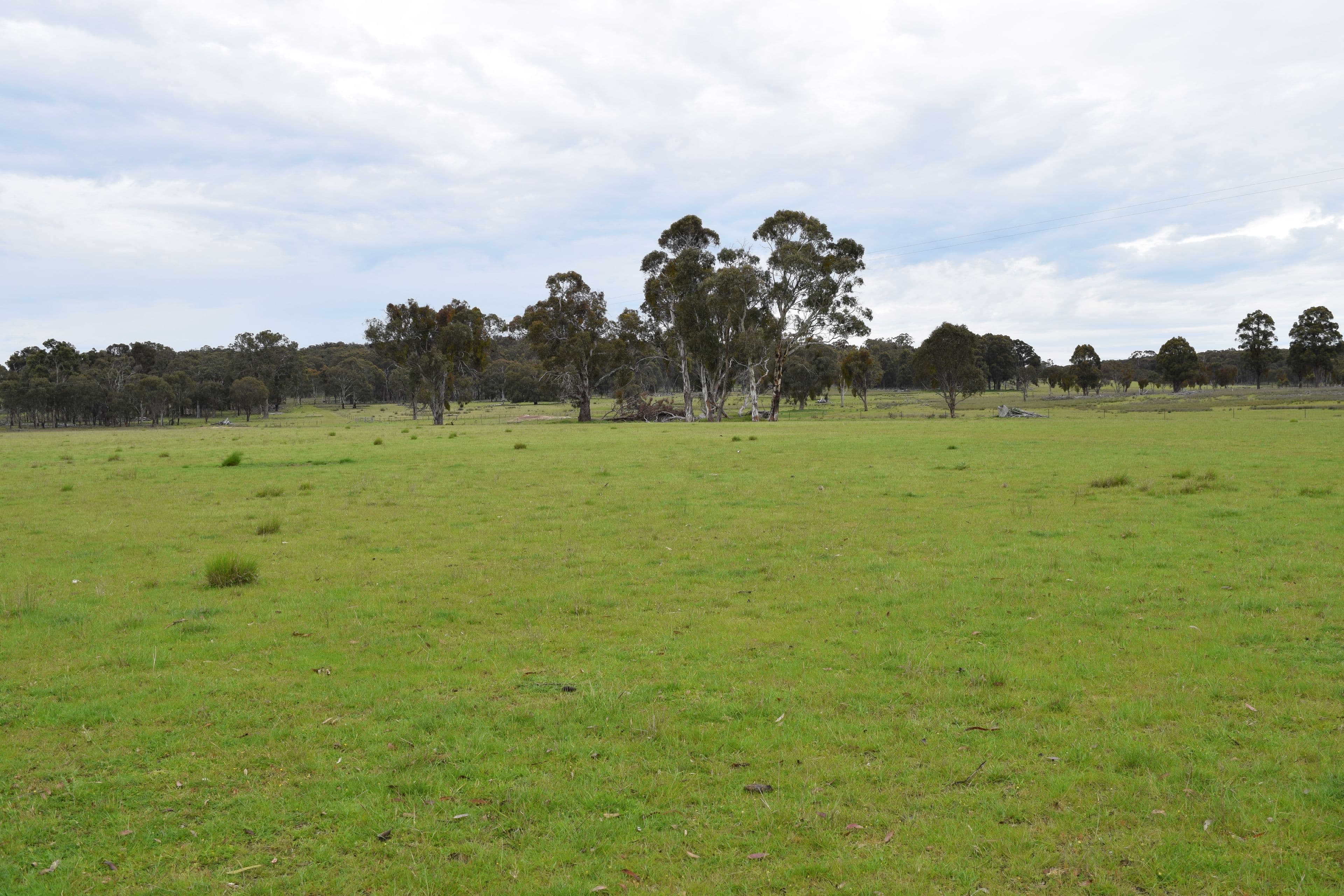Nariel 754 Junction Road, Guyra NSW 2365, Guyra - Thumbnail 8