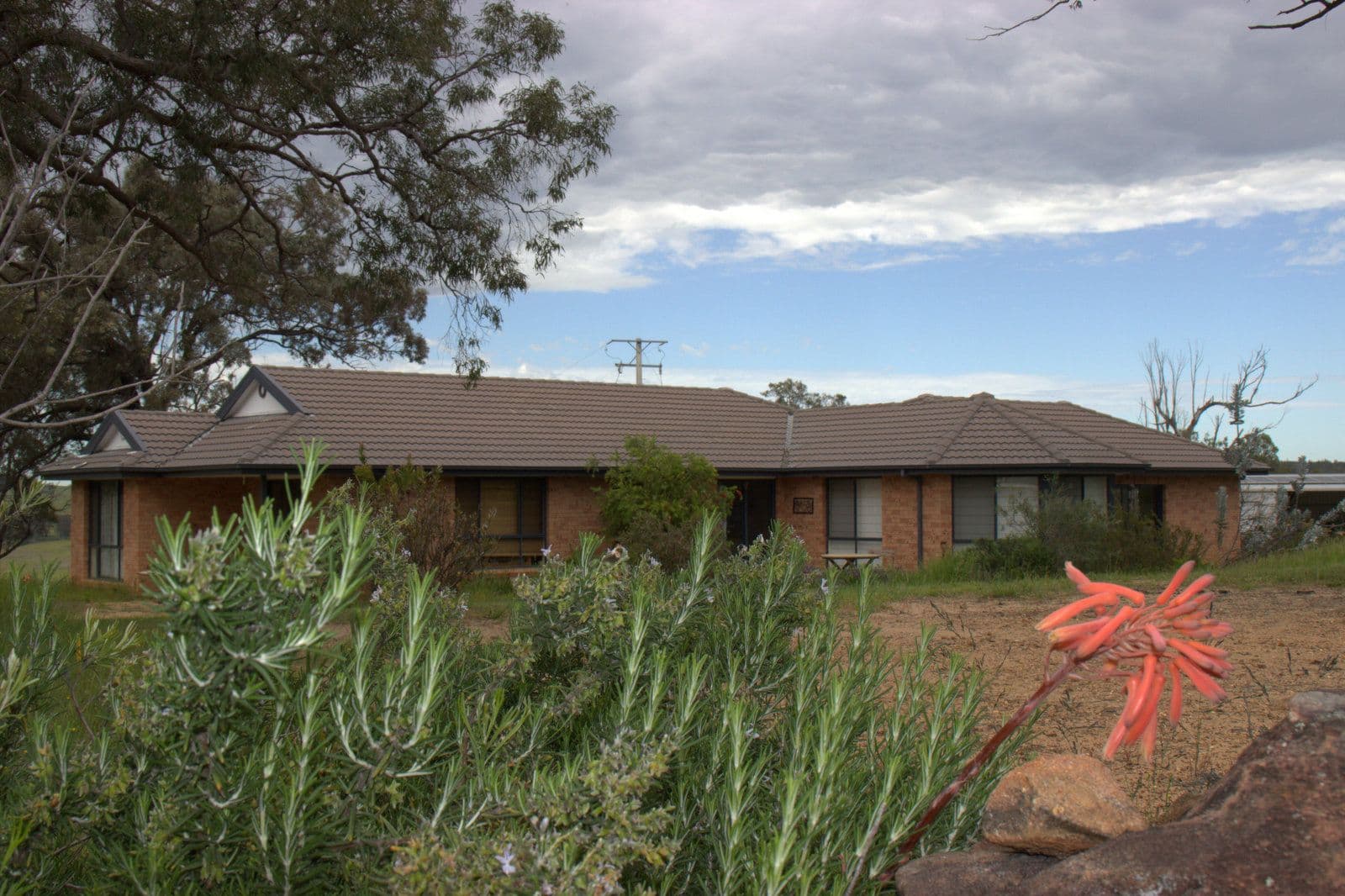 'YAAMA' 583 RIVER Road, Coonabarabran NSW 2357, Coonabarabran - Thumbnail 3