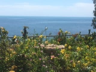 18 Cutten Street, Bingil Bay QLD 4852, Bingil Bay - Thumbnail 3