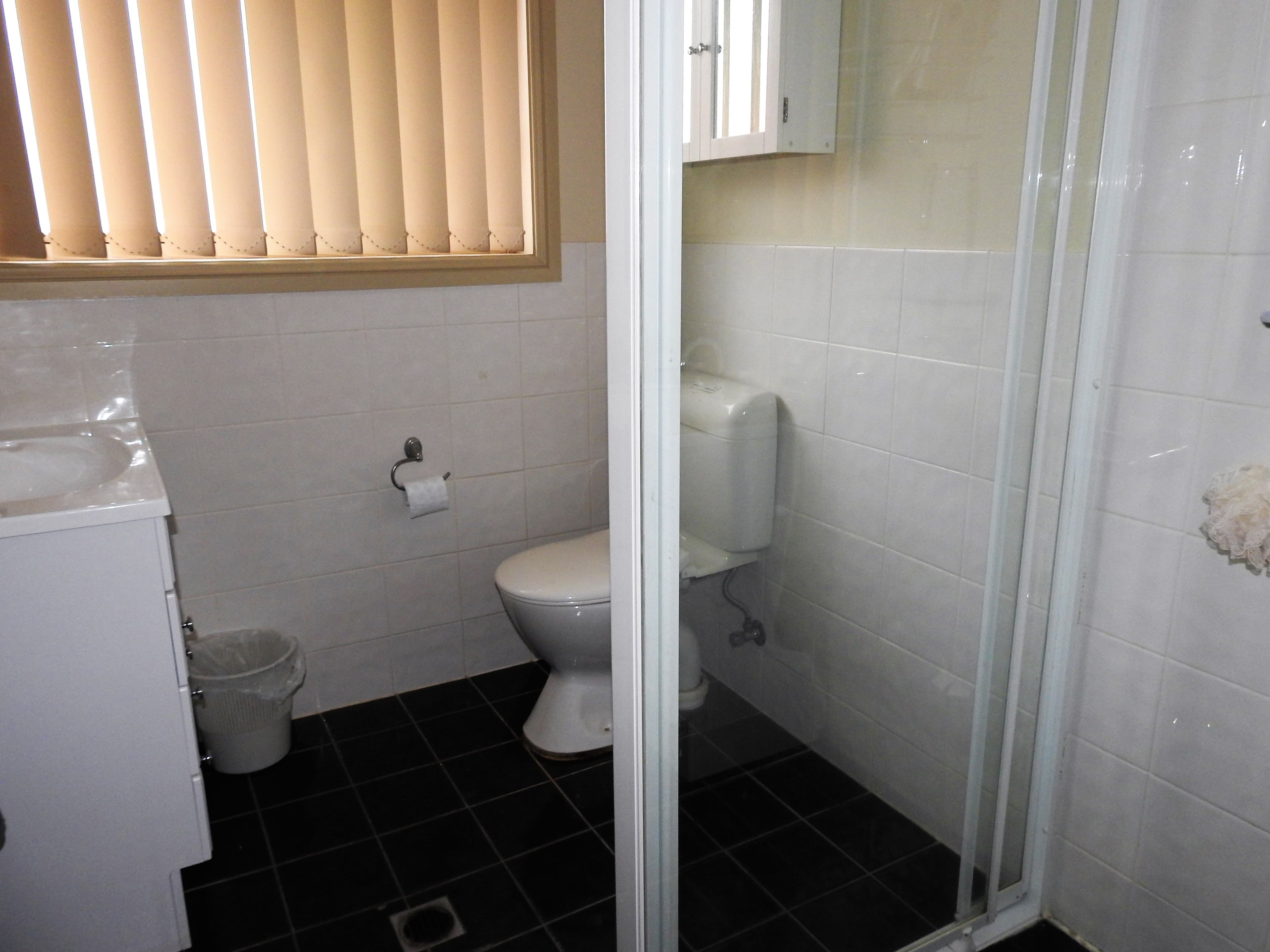 3a Miro Street, Young NSW 2594, Young - Thumbnail 6