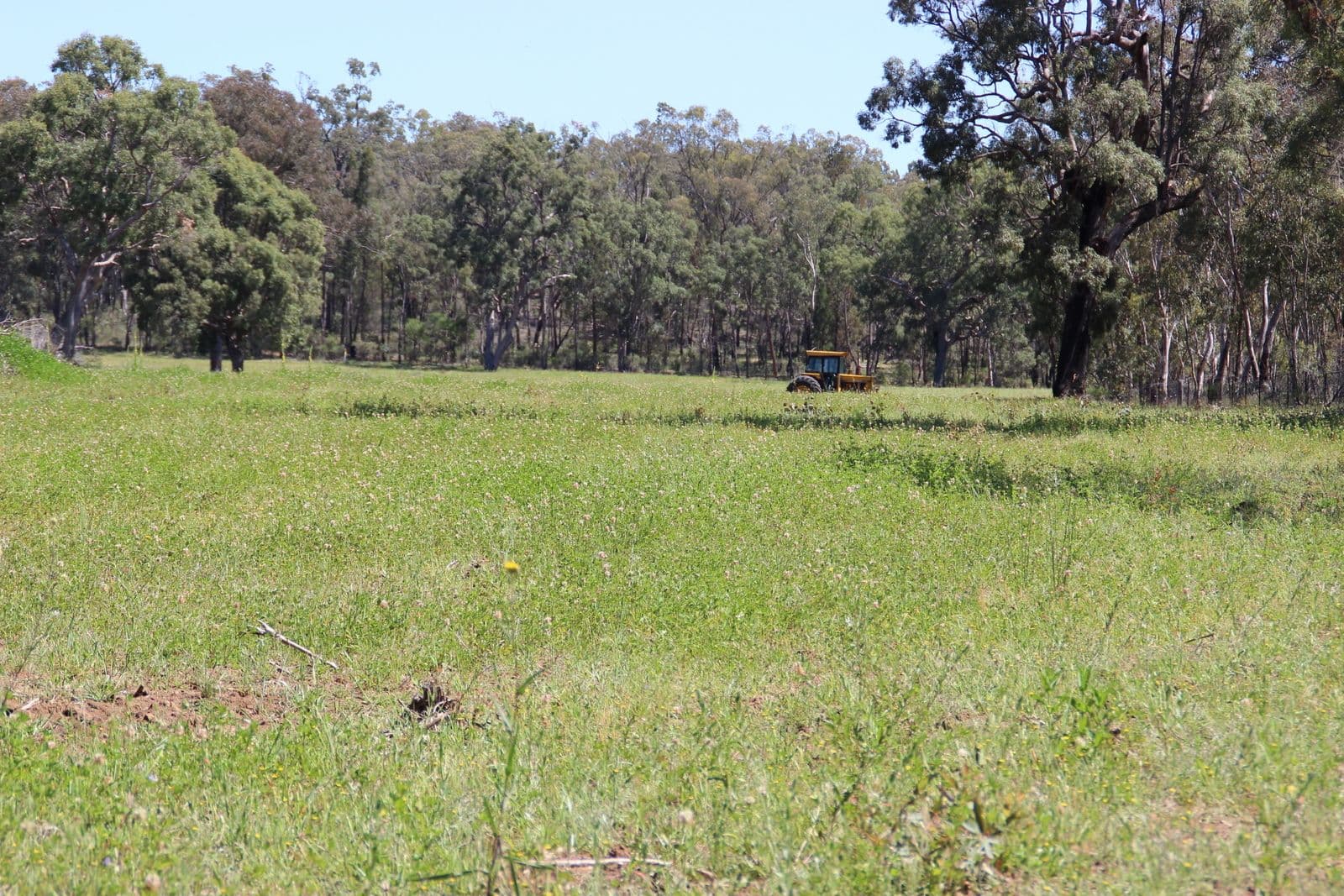 40 DOWNS TOTHILLS Road, Coonabarabran NSW 2357, Coonabarabran - Thumbnail 8