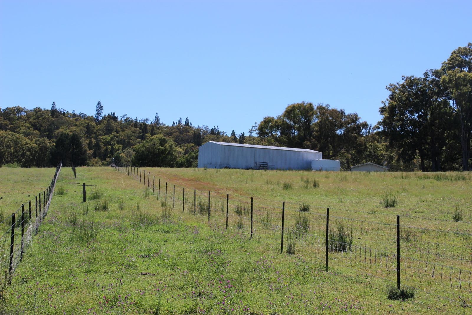 40 DOWNS TOTHILLS Road, Coonabarabran NSW 2357, Coonabarabran - Thumbnail 2