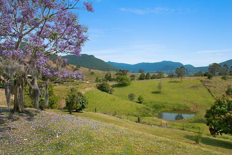 25 Wanungara View, Limpinwood NSW 2484, Limpinwood - Image 1