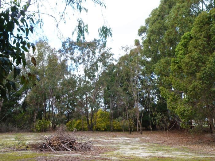 Lot 56 Dean Road, Nannup WA 6275, Nannup - Thumbnail 8