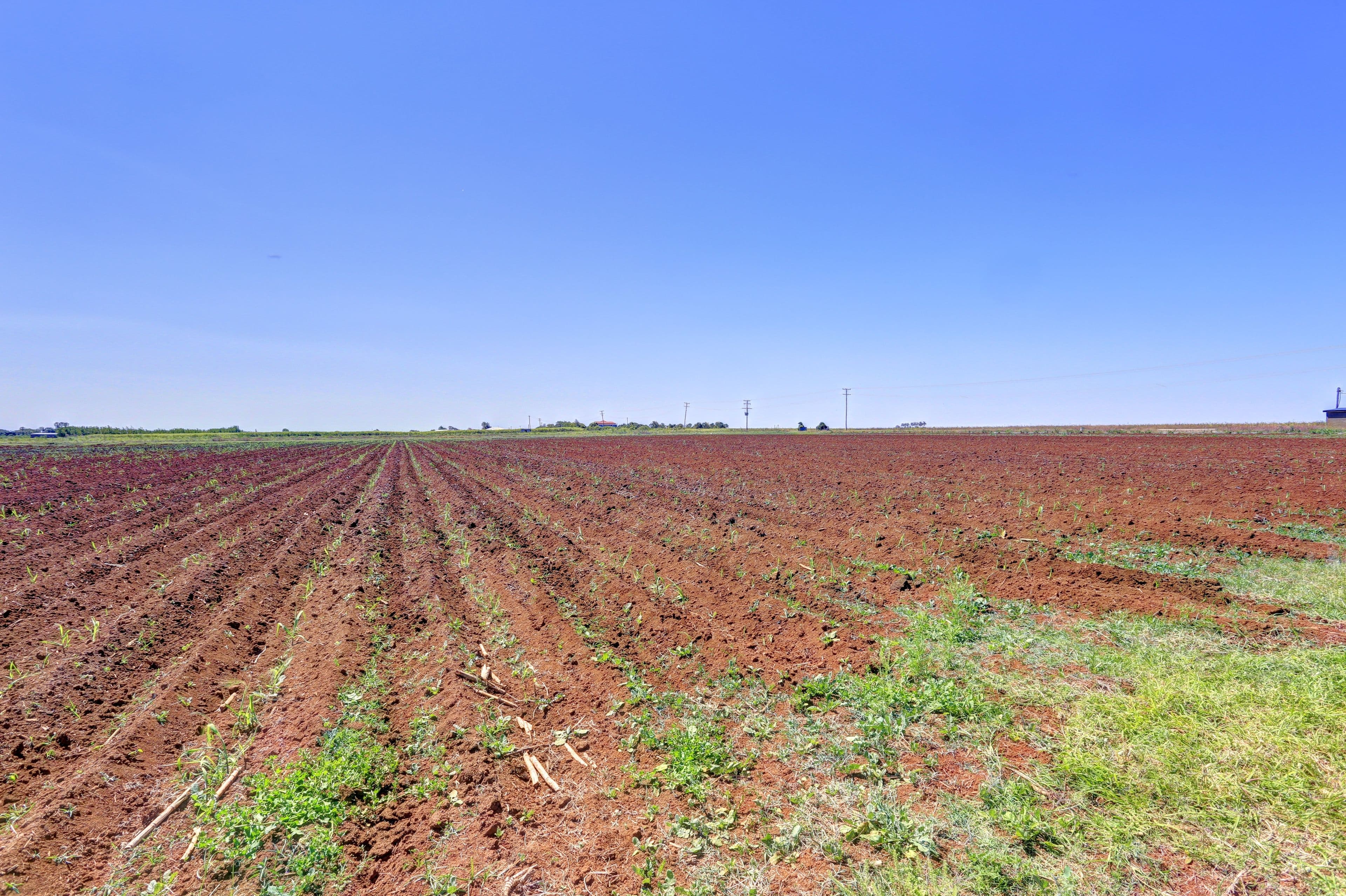 182 Saint Johns Road, Woongarra QLD 4670, Woongarra - Thumbnail 6