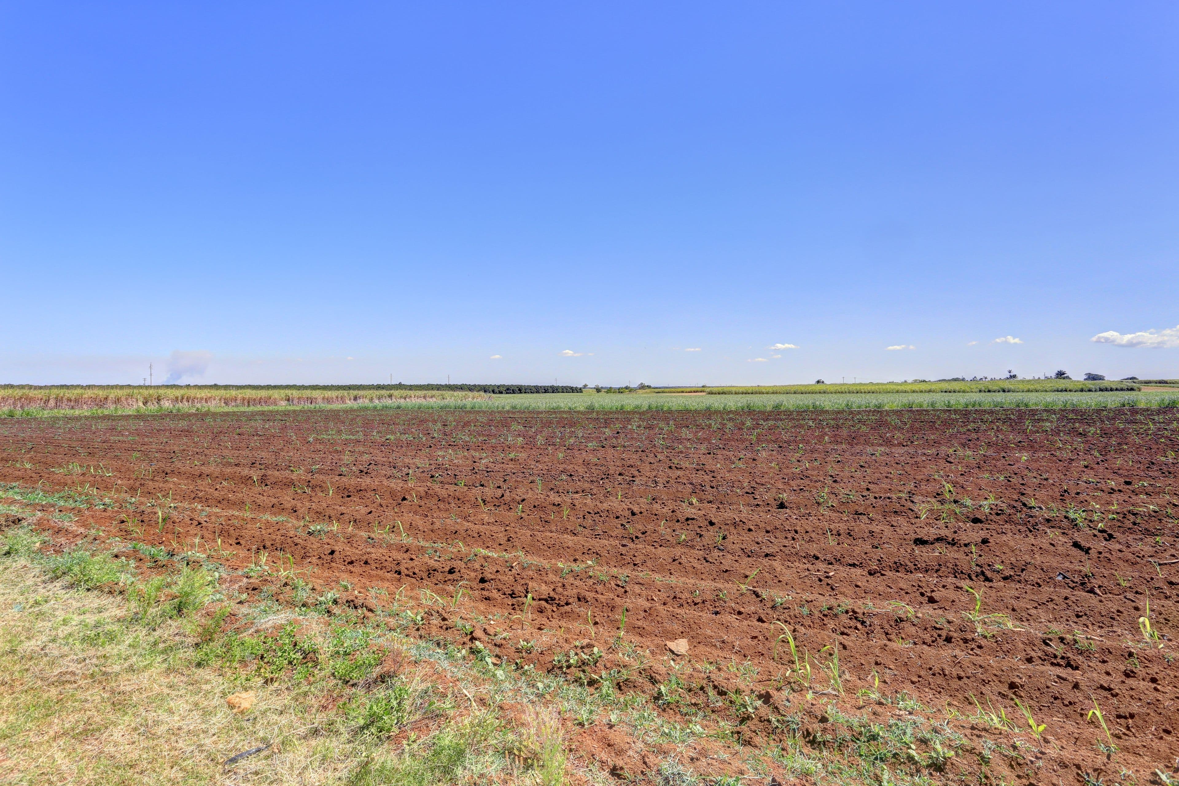 182 Saint Johns Road, Woongarra QLD 4670, Woongarra - Thumbnail 5