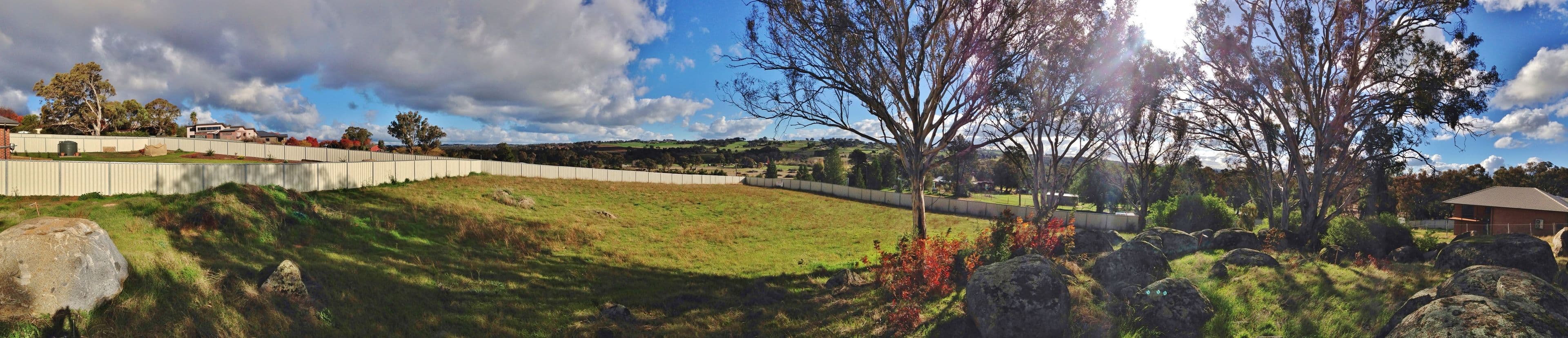 14 Henry Place, Young NSW 2594, Young - Thumbnail 3