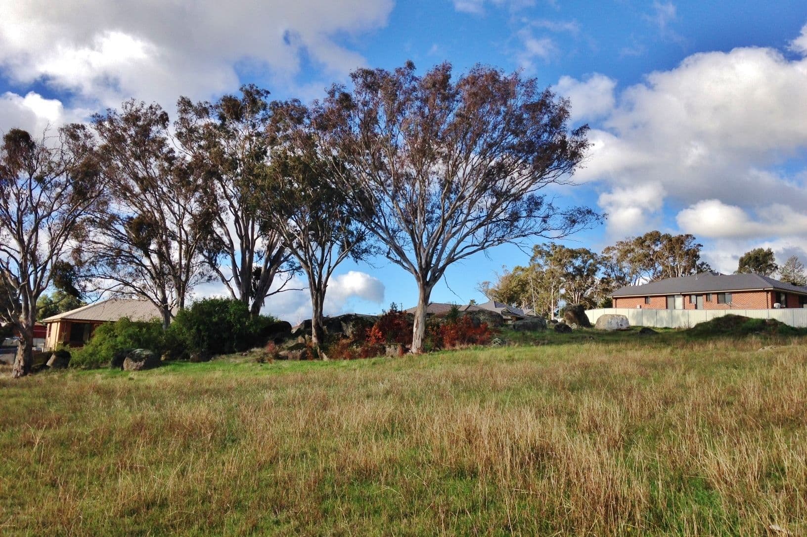 14 Henry Place, Young NSW 2594, Young - Thumbnail 5