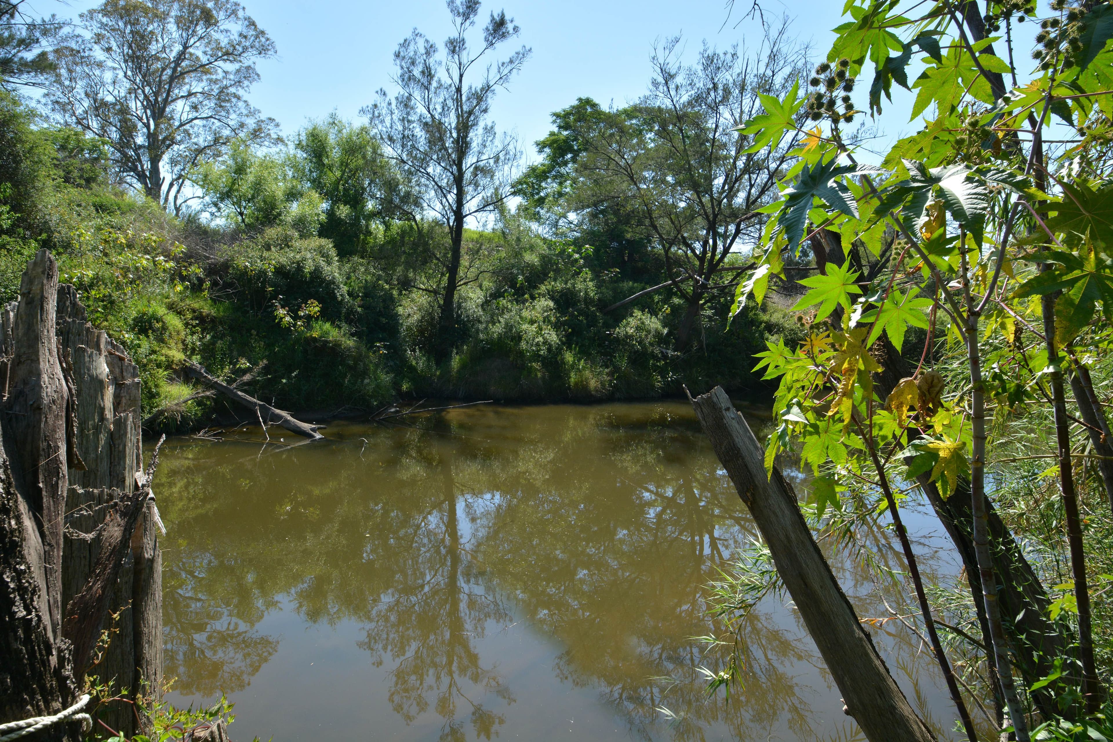 2486 Glendonbrook Road, Gresford - Thumbnail 3