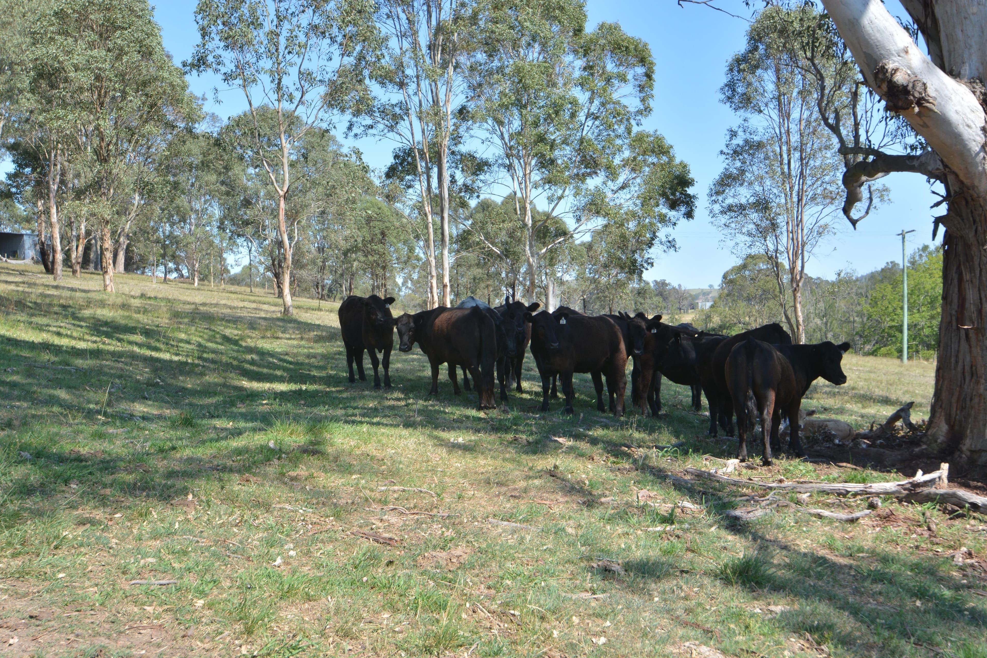 2486 Glendonbrook Road, Gresford - Thumbnail 4