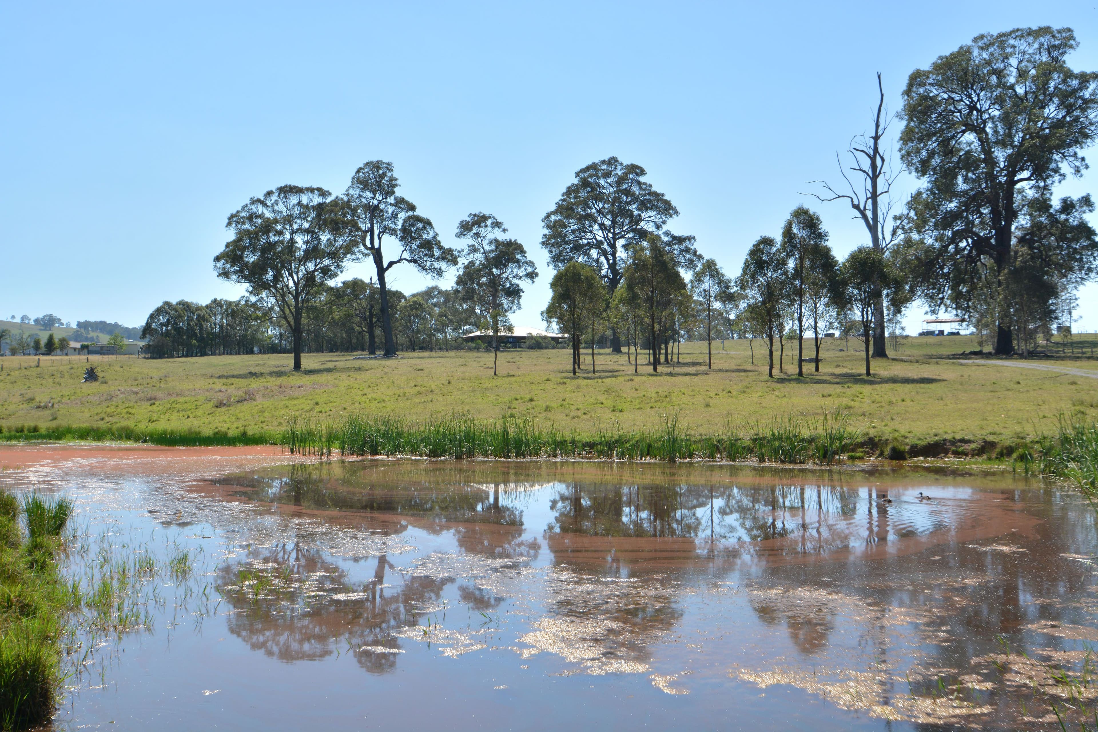 2486 Glendonbrook Road, Gresford - Thumbnail 7