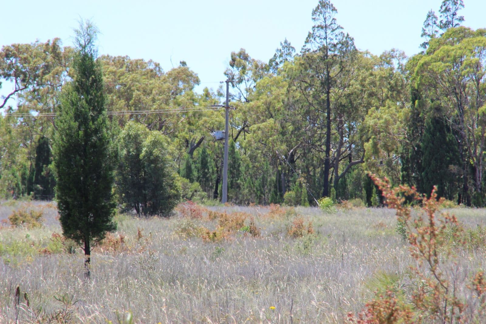 93 EAGLEVIEW Road, Coonabarabran NSW 2357, Coonabarabran - Thumbnail 5