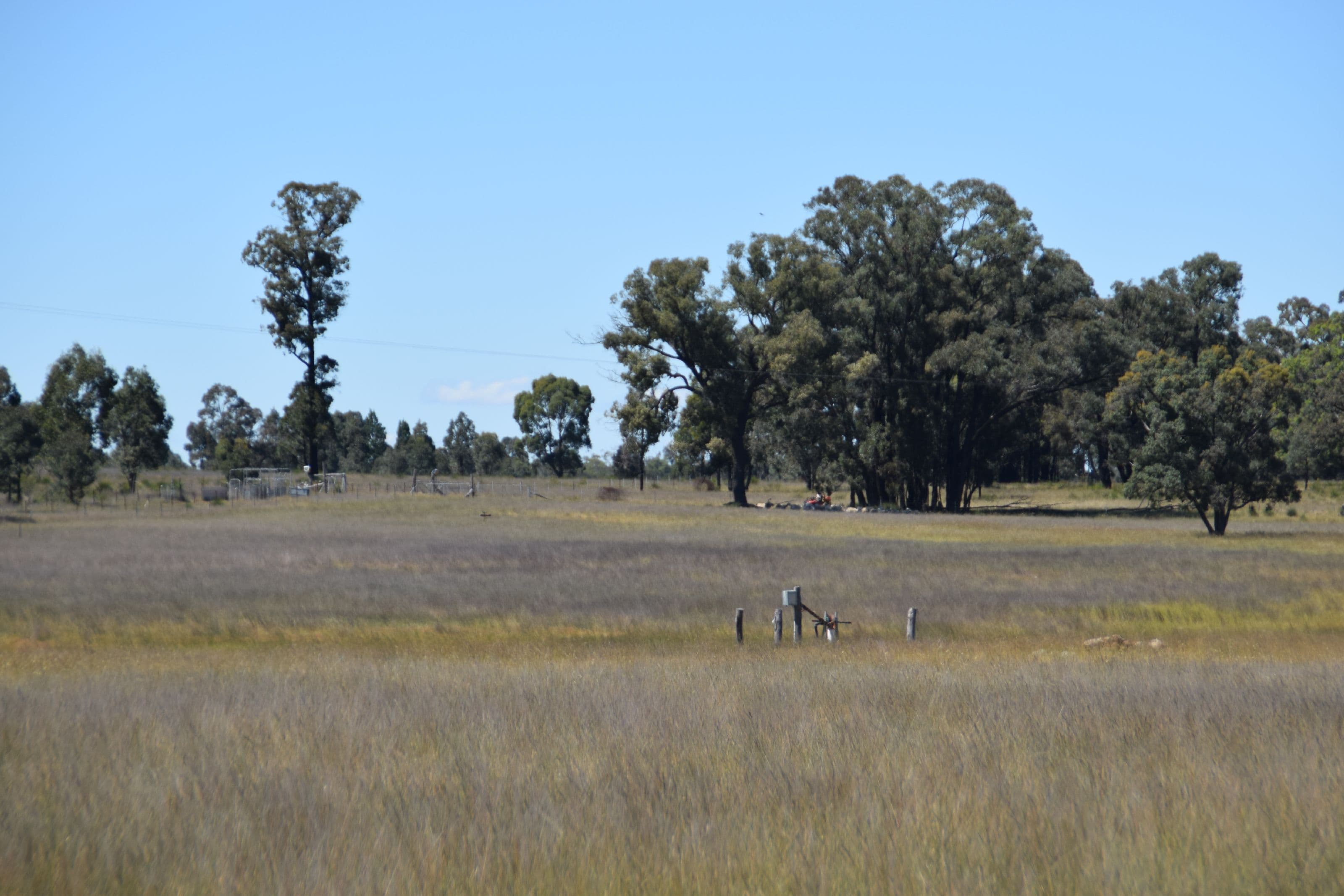 'Dunrovin' 152L Goan Creek Road, Ballimore NSW 2830, Ballimore - Thumbnail 6