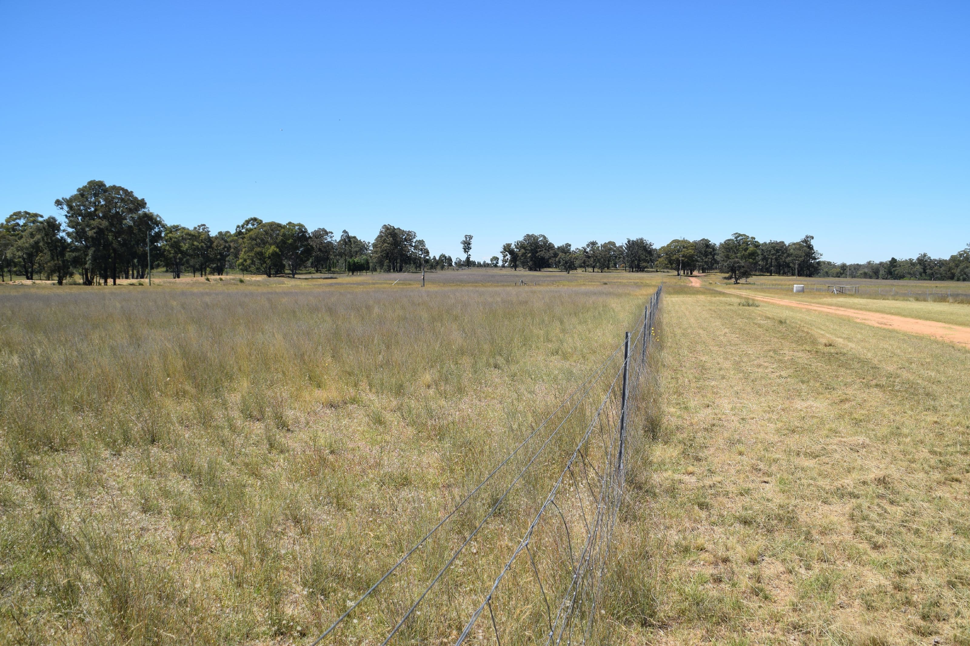 'Dunrovin' 152L Goan Creek Road, Ballimore NSW 2830, Ballimore - Thumbnail 5