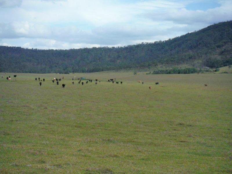 Tolga QLD 4882, Tolga - Image 1